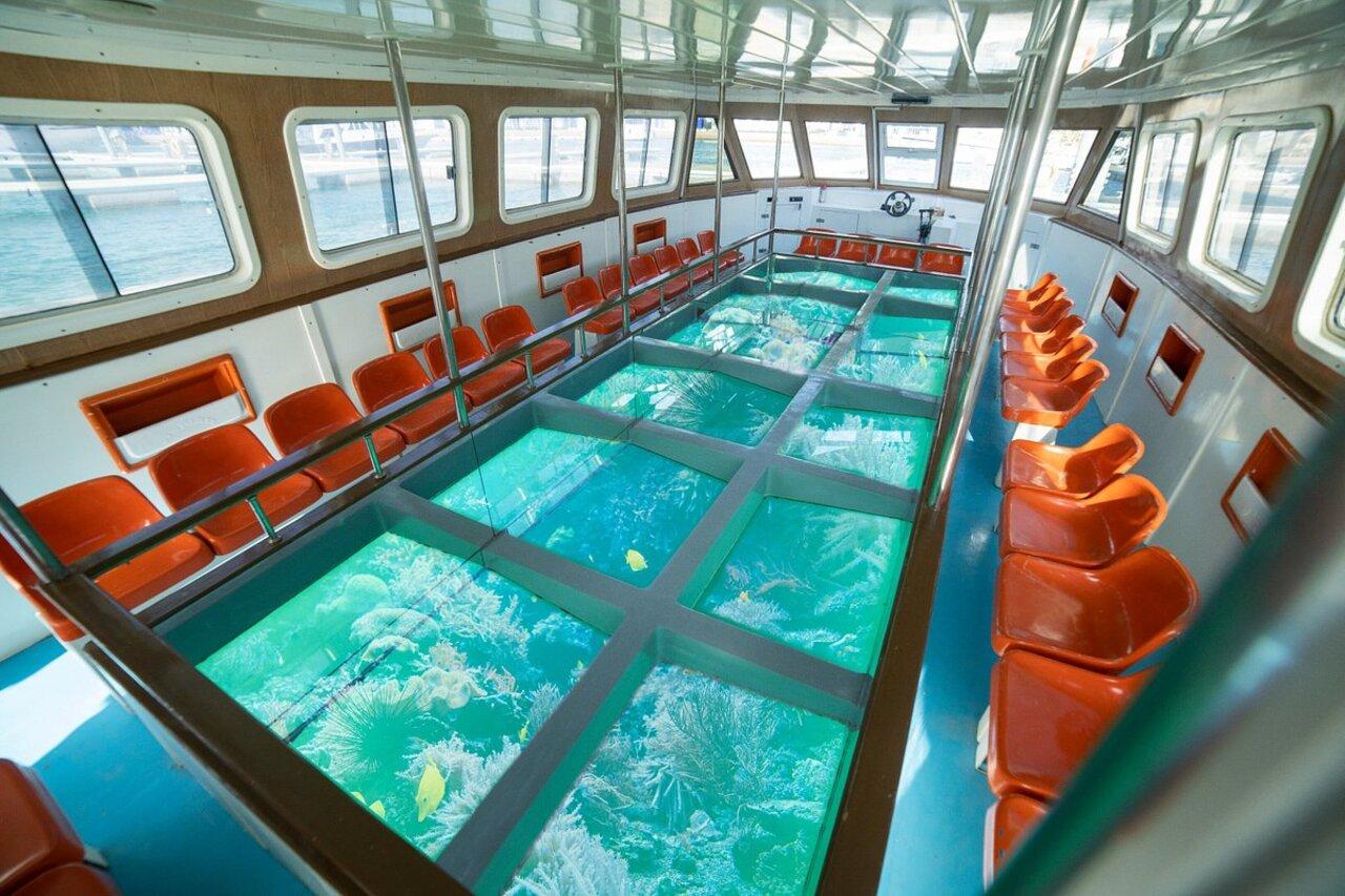 Aqaba: Private Boat Tour with Snorkeling and Lunch 2