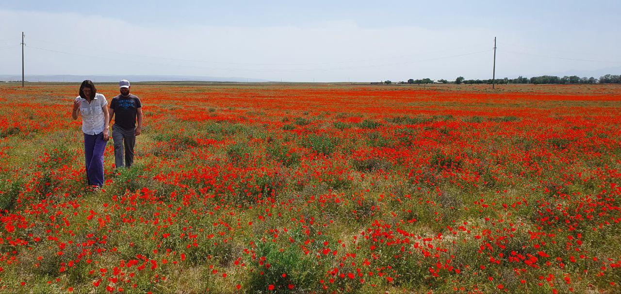 Bukhara/Samarkand: 2-Day Guided Nurata Mount & Desert Tour 2