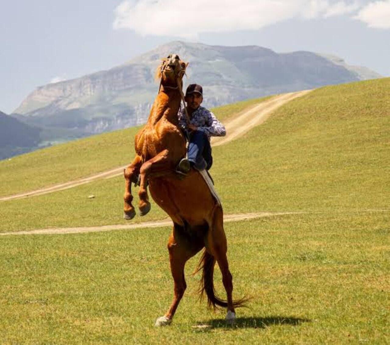 From Baku: Absheron Peninsula Horse Ride at a Secluded Ranch 2