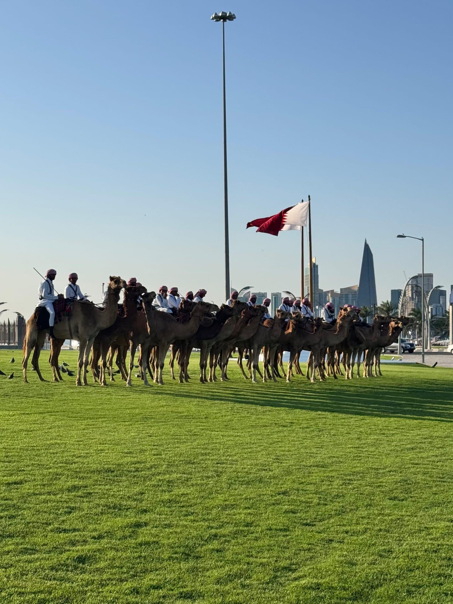 Discover the Best of Doha 3