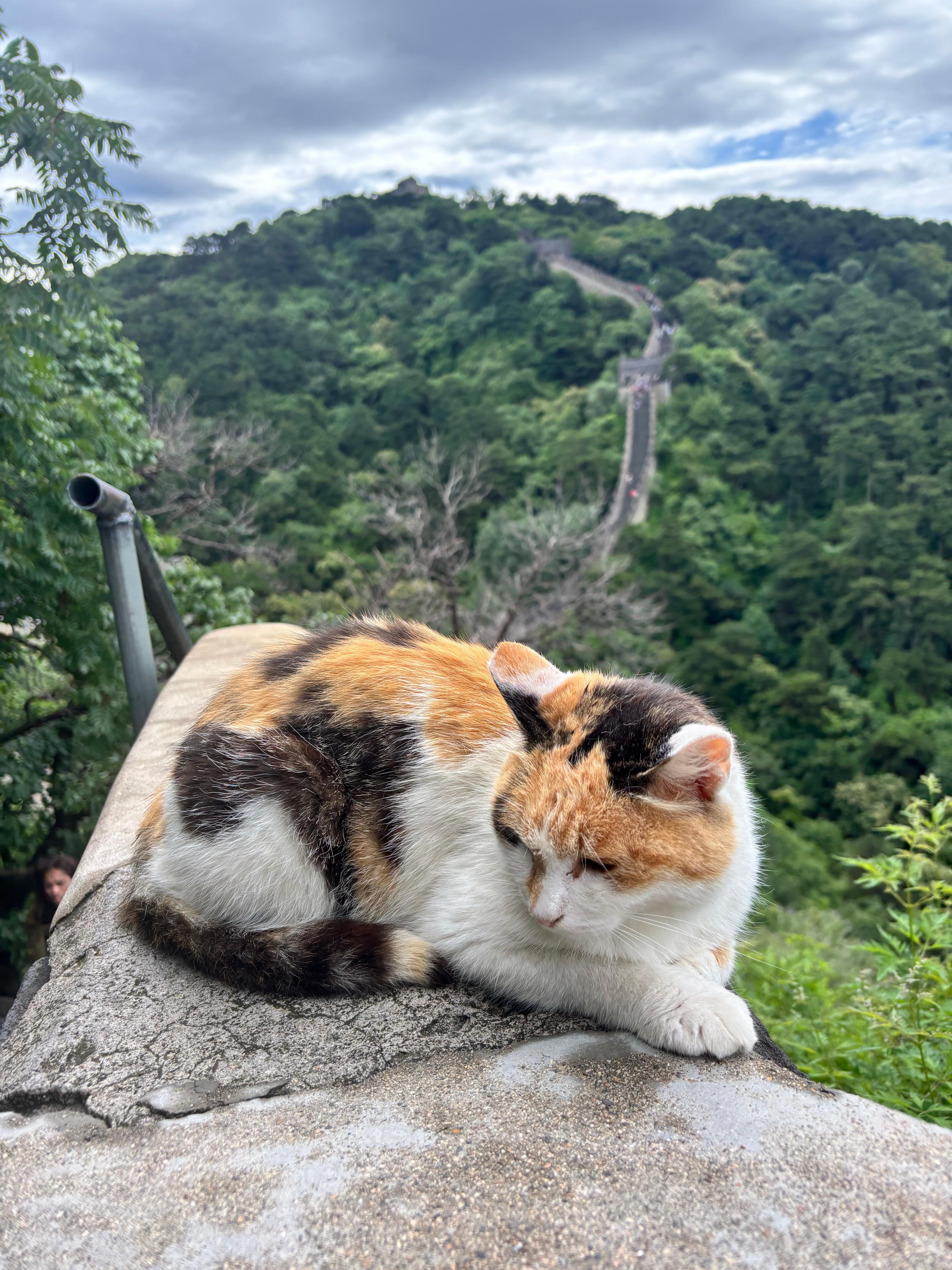 Beijing: Mutianyu Village & Mutianyu Great Wall Private Tour 2