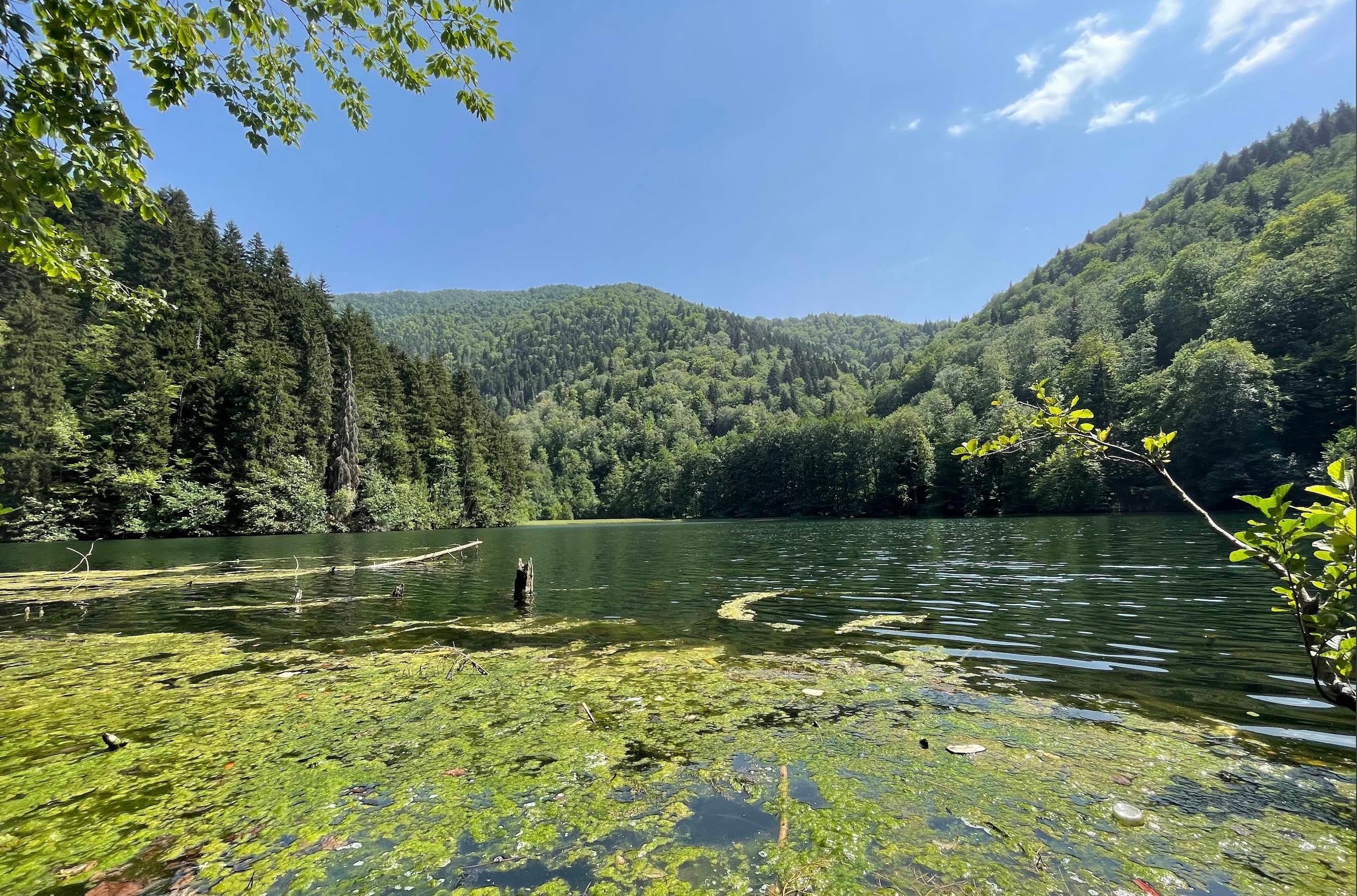 Georgia’s Secret Emerald Lake: 4x4 Adventure & Forest Hike