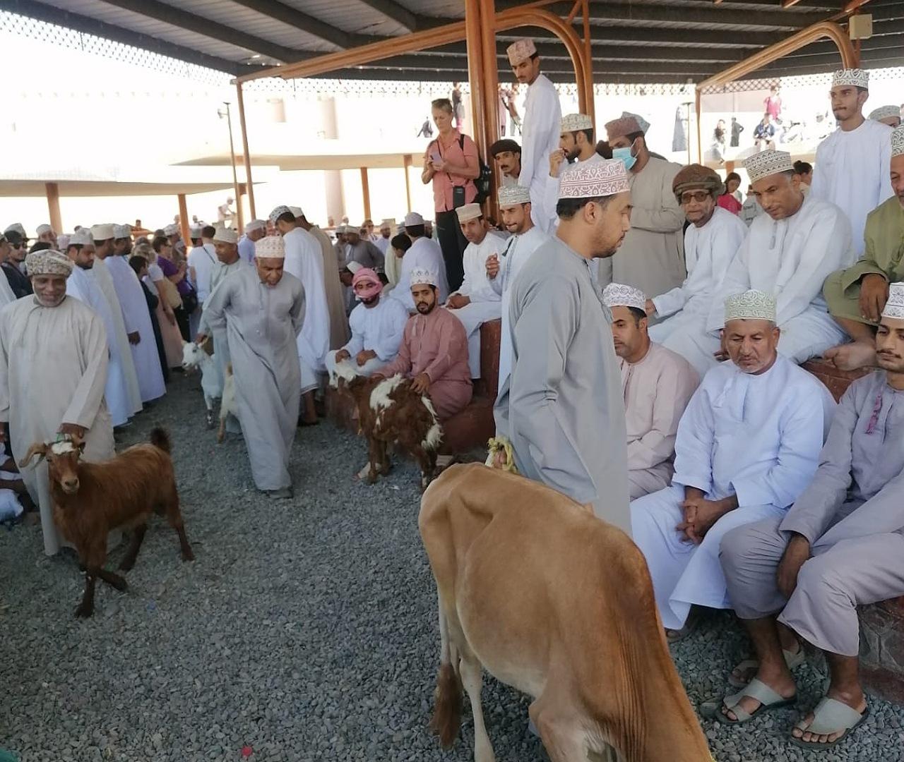 From Muscat: Nizwa and Misfat Al Abriyeen Private 3