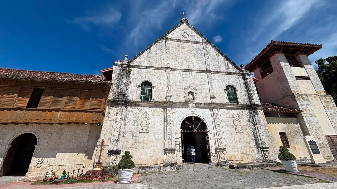 Cebu: Oslob Whale Shark Swim, Wild Macaques & Heritage Tour