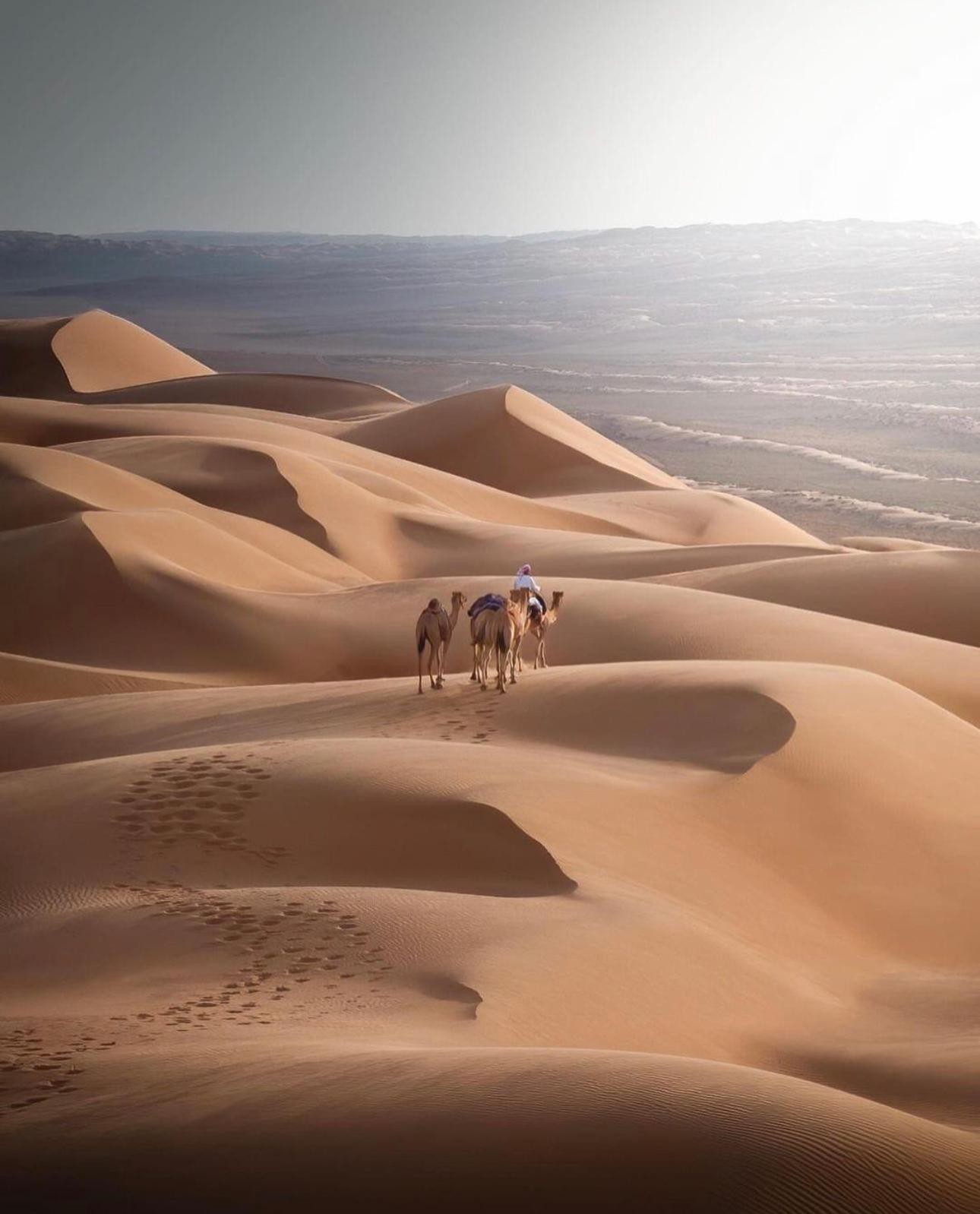 Arabian Overnight: 1001 Nights Desert Safari Salalah 3