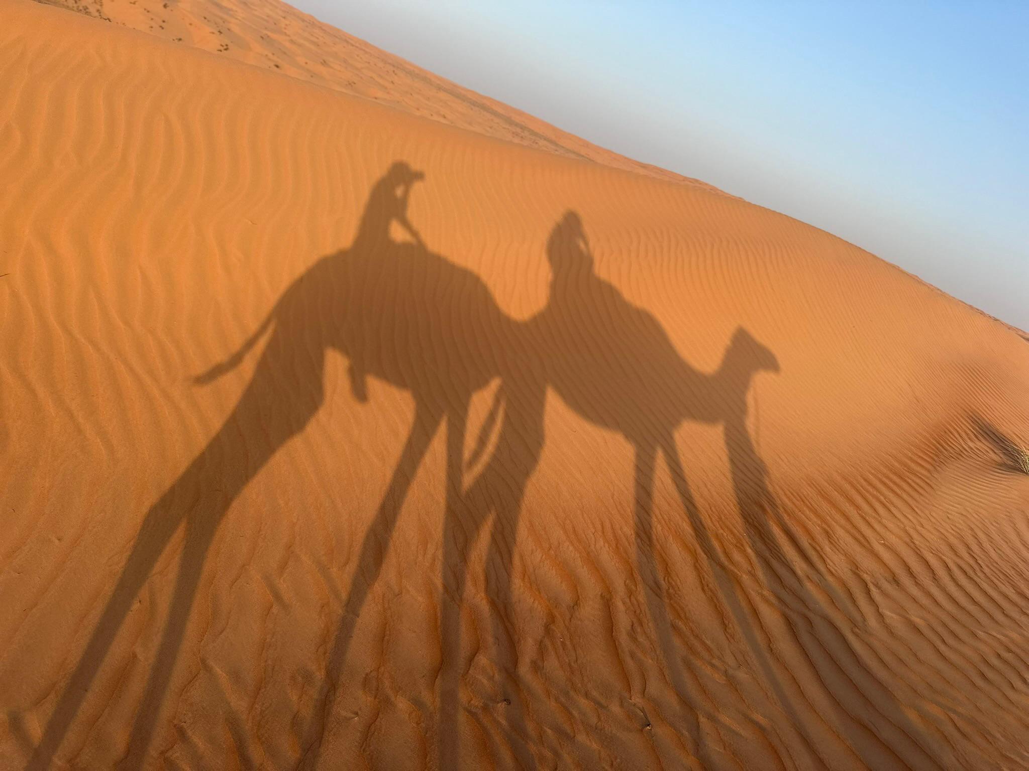 From Muscat: Wahiba Sands Tour, Wadi Oasis & Bedouin Visit 3