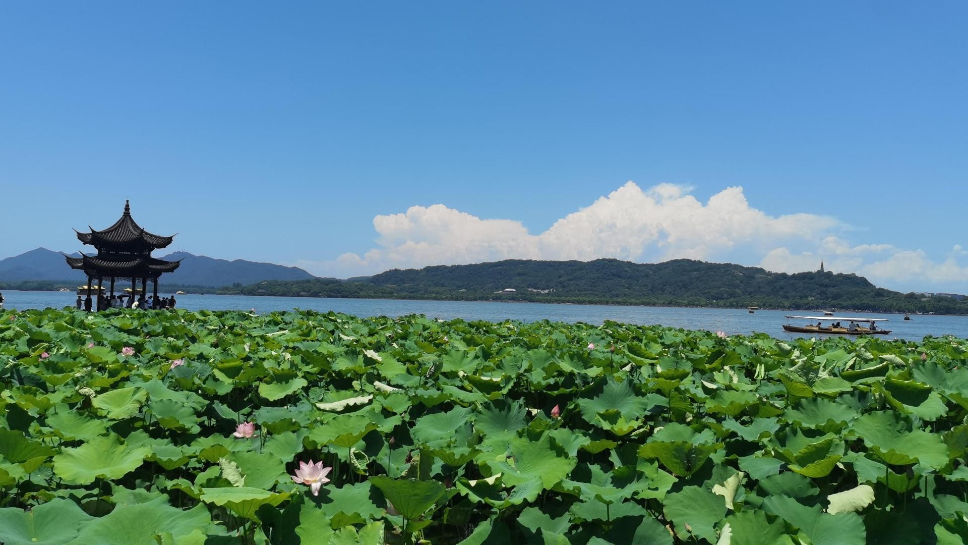 From Shanghai: Hangzhou Day Trip with West Lake Cruise
