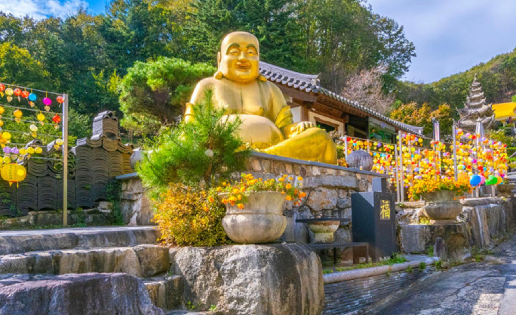 Seoul: Anseong Flower Festival & Buddha Temple Private Tour