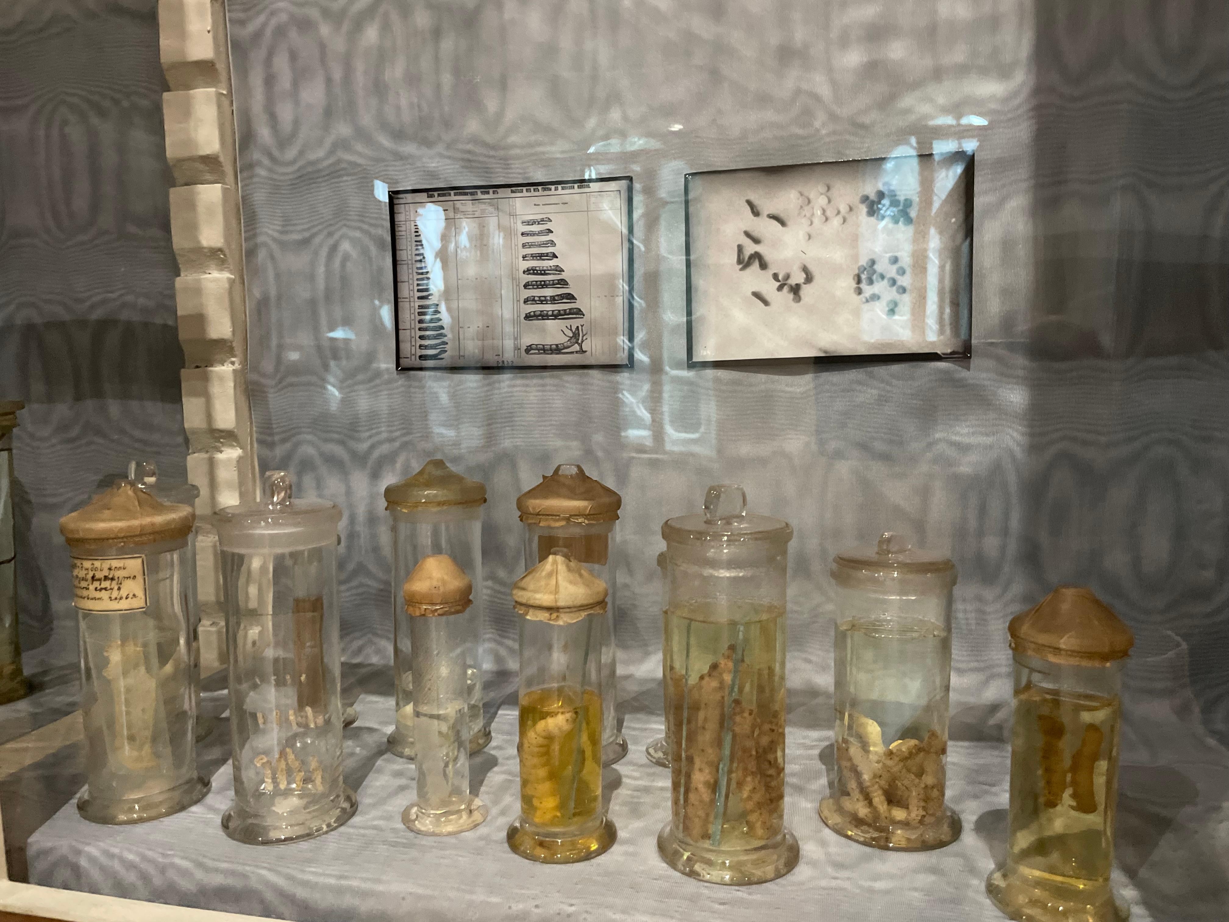 Tbilisi: Silk Museum Guided Tour
