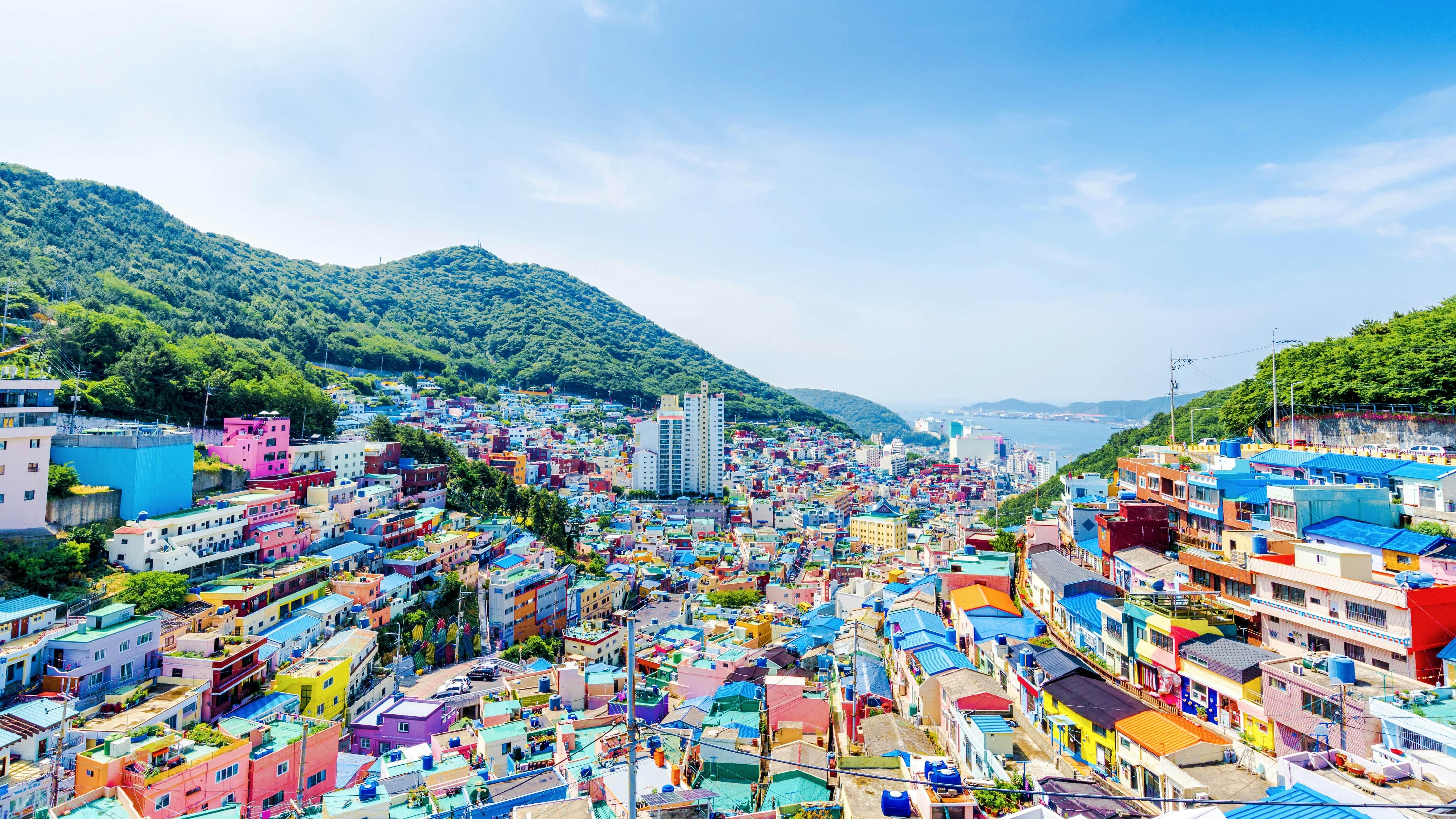 Busan: Hidden Gems, Beaches and Local Food Private Tour