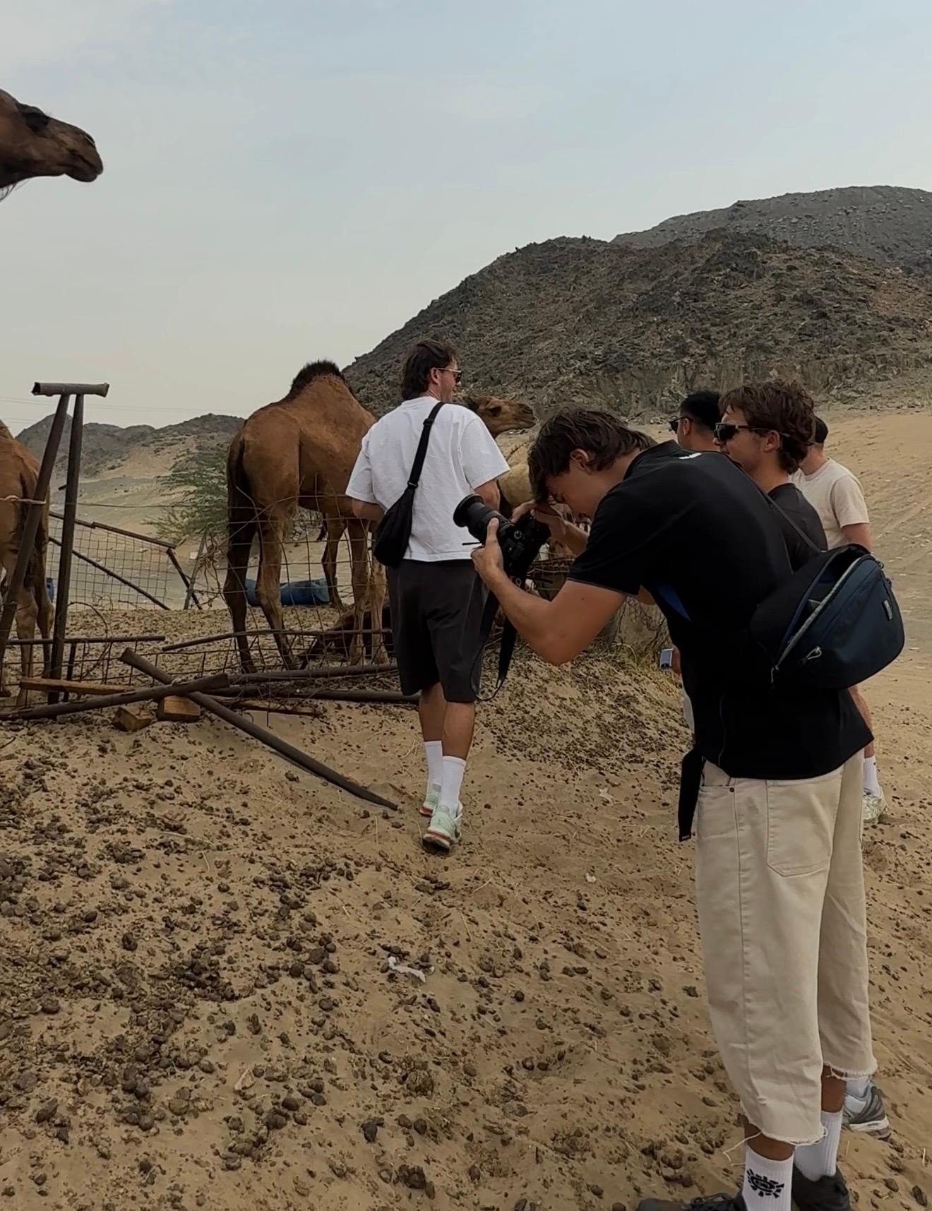 Jeddah: Half-Hour Desert Quad Tour & Camel Farm Visit 3