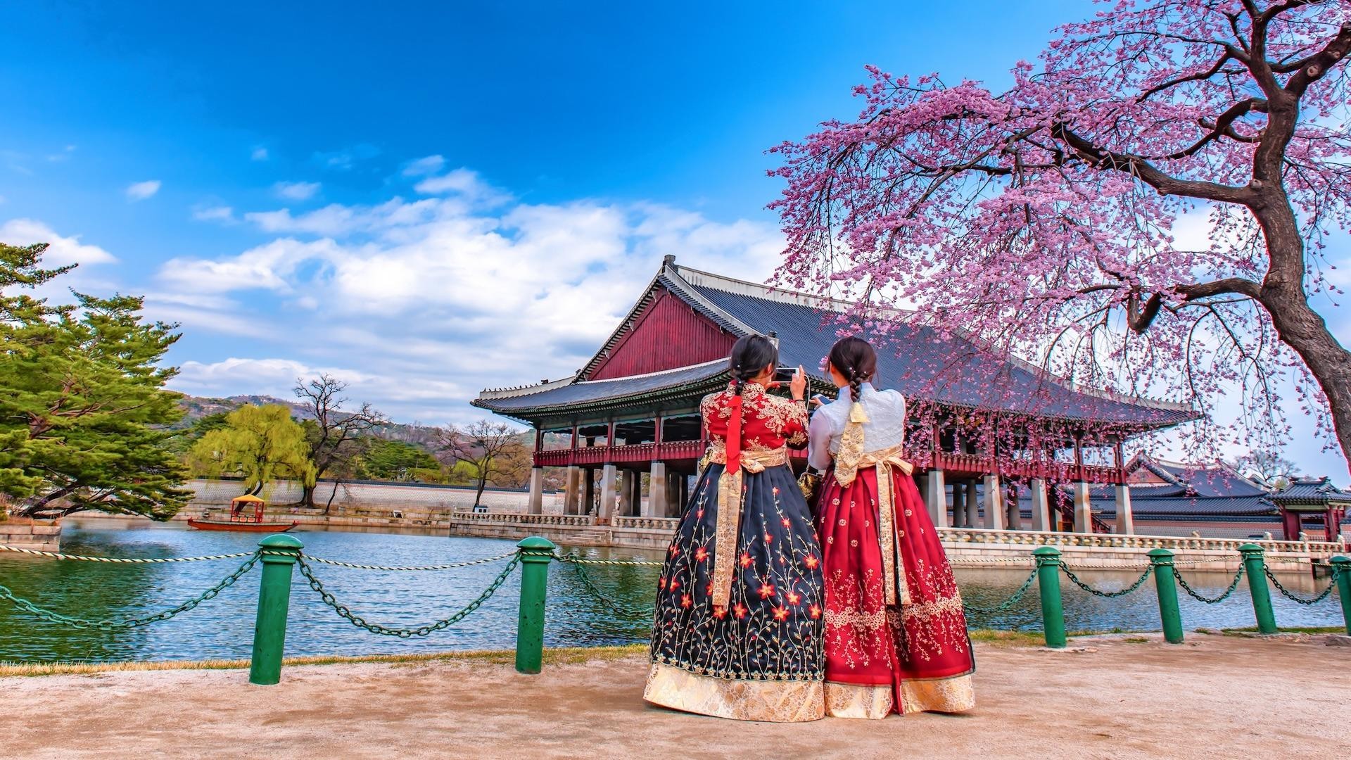 Seoul: Gyeongbokgung Palace, Namsan Park, & More Tour