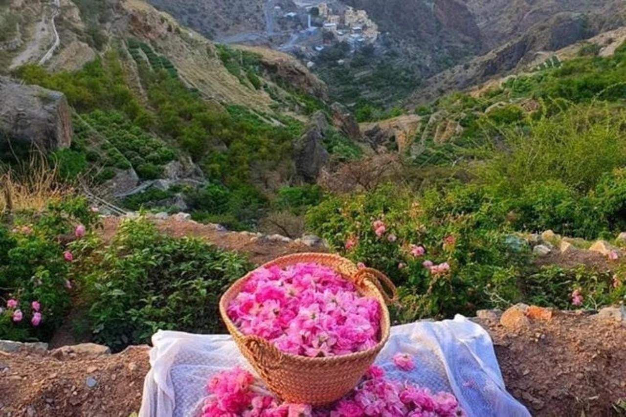 Oman Soul Trip: Nizwa, Bahla, Al Hamra & Jebel Akhdar