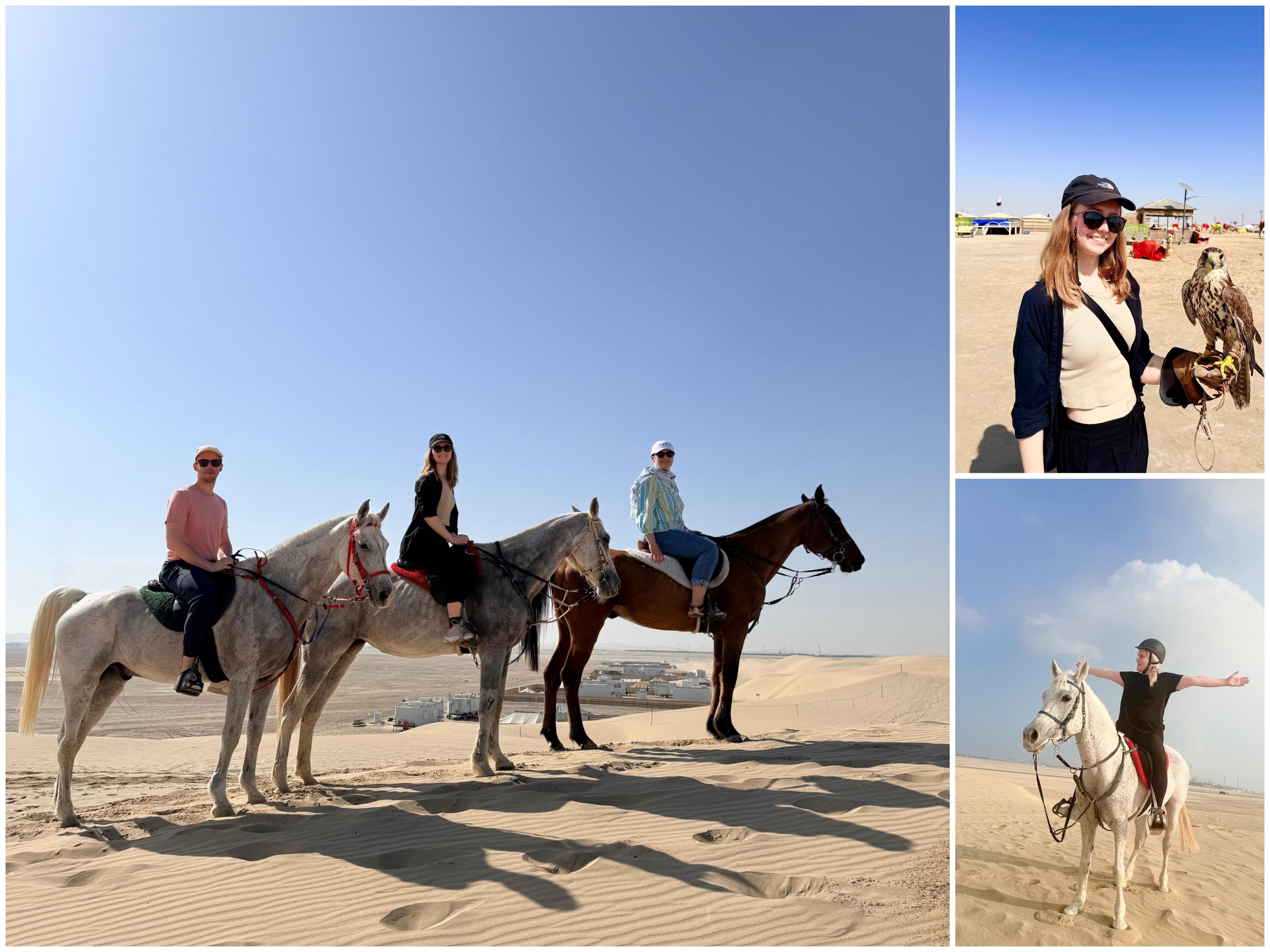 Doha: Private 3 hr adventure with Arabian Horses and Falcon
