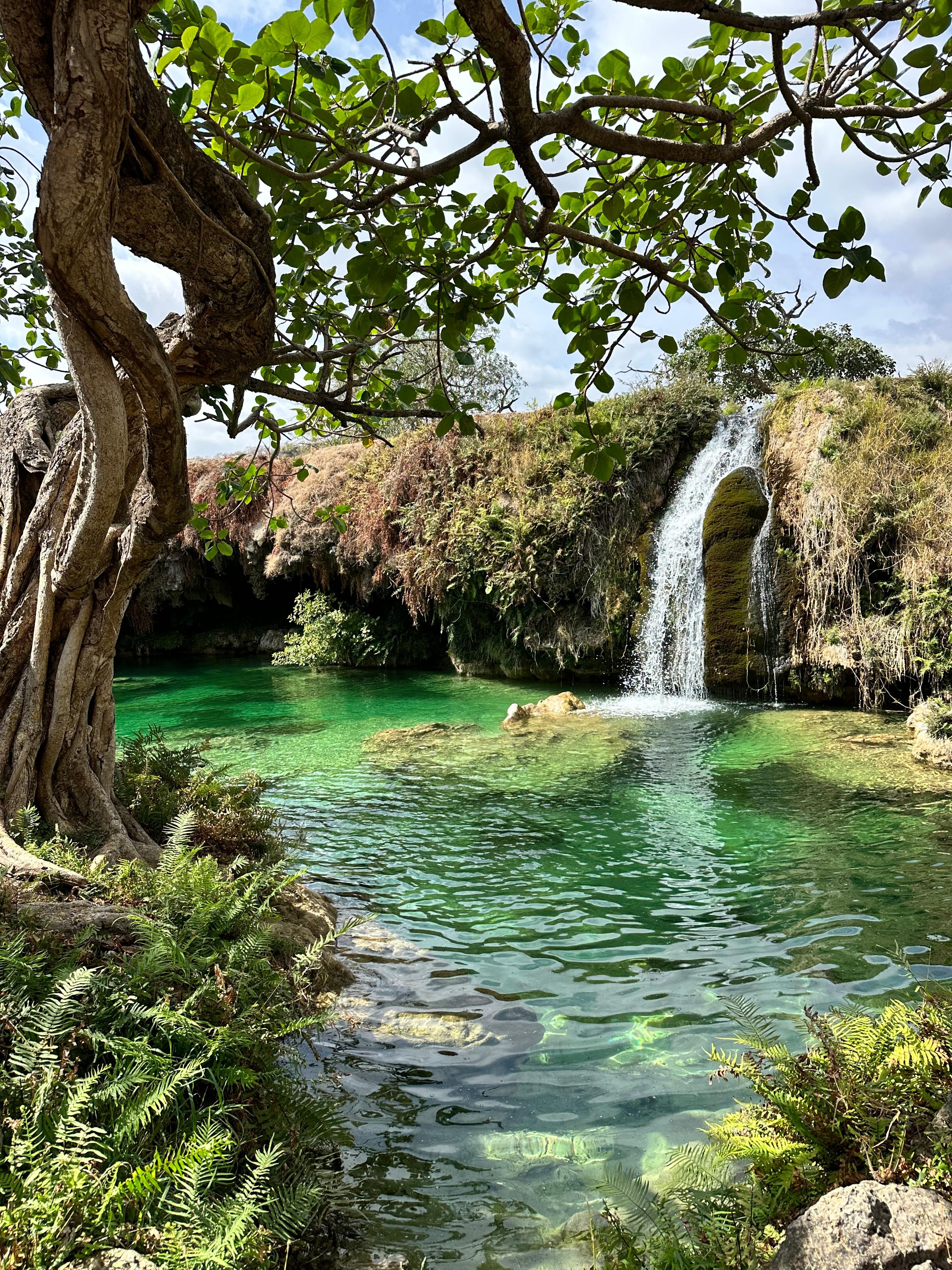 Private Salalah Signature Tour: Discover the Best of Salalah