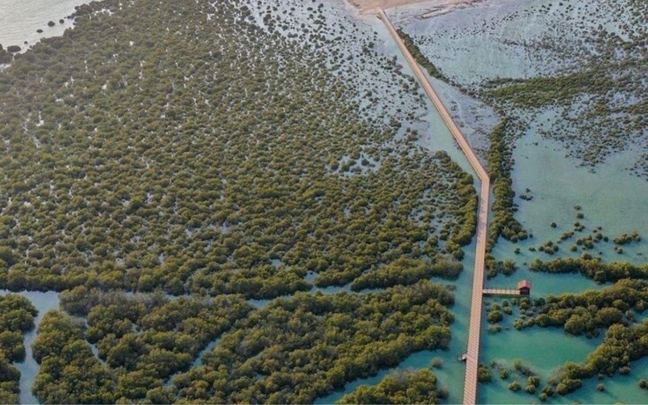 Doha: Zubara UNESCO Site, Mangroves & Jumail Village 3