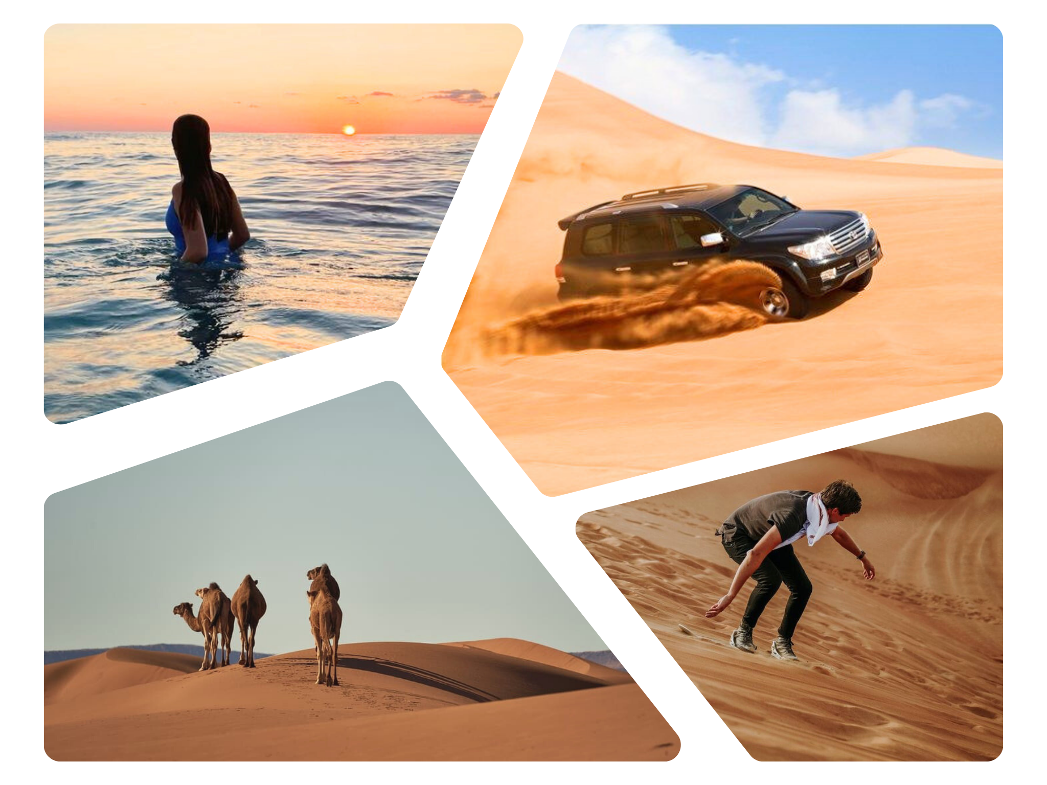 Doha Desert Safari: Sandboarding, Camel Ride & Swimming Fun