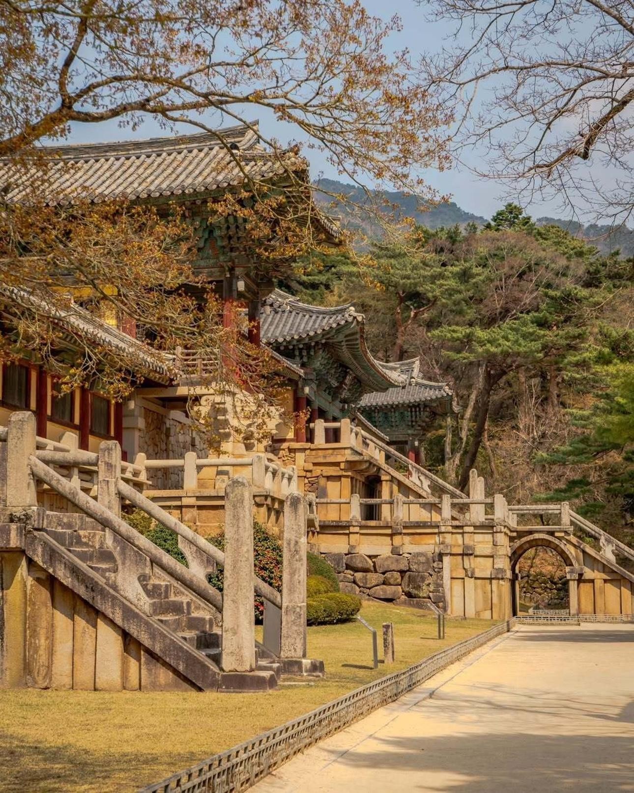 From Busan: Gyeongju Custom Private Day Tour with Pickup 2