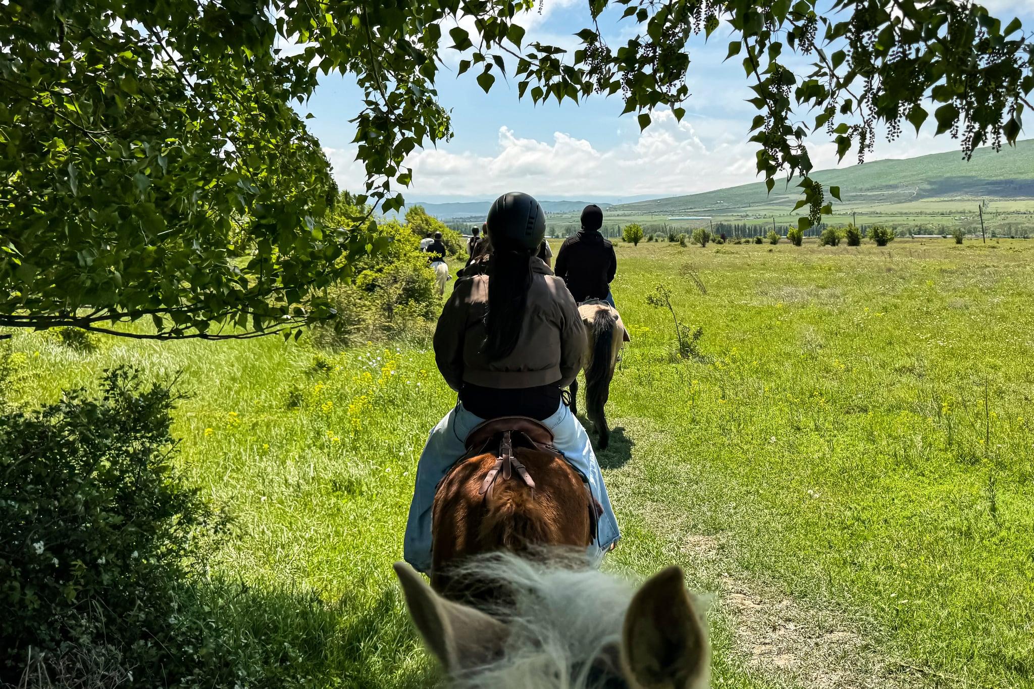 1-Hour Horse Riding Tour at Palomino Ranch Near Tbilisi 2