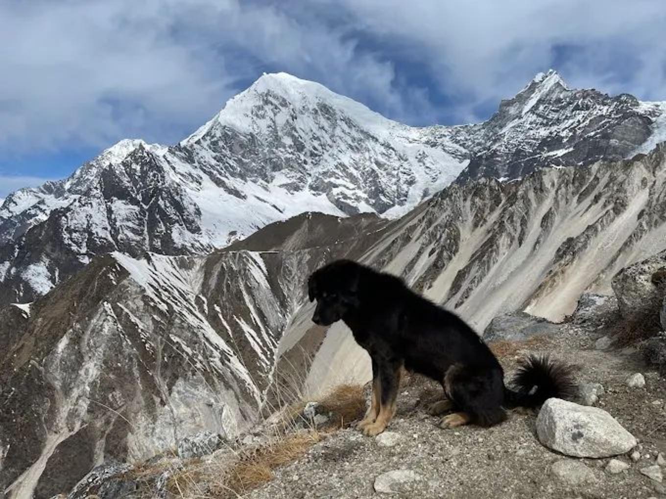 Kathmandu: Langtang Valley 6-Day all inclusive Guided Trek 3