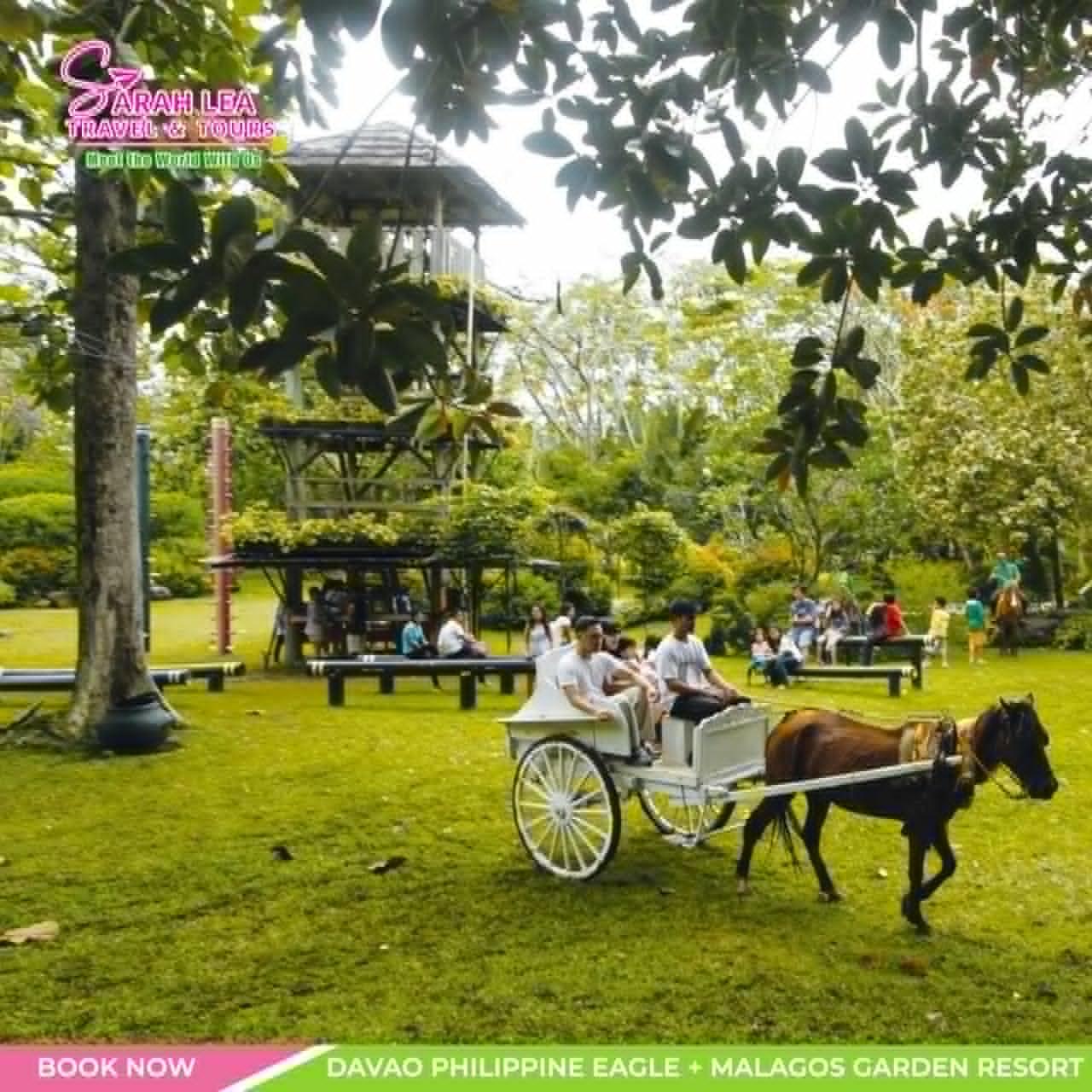 Davao: 8-Hour Philippine Eagle & Malagos Garden Resort Tour 2