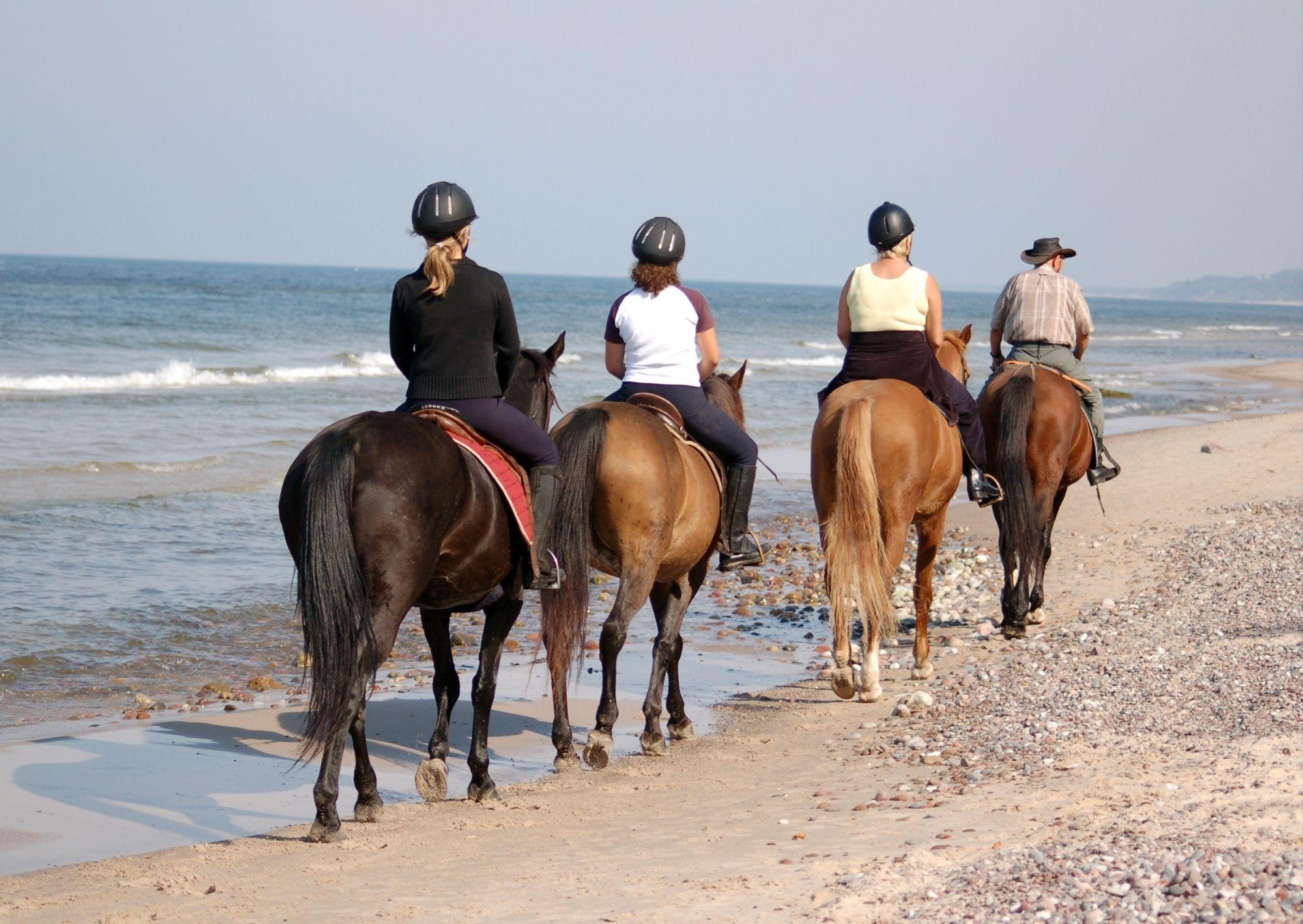 Ride the Spirit of Arabia: A Desert Horse‑Riding Experience 2