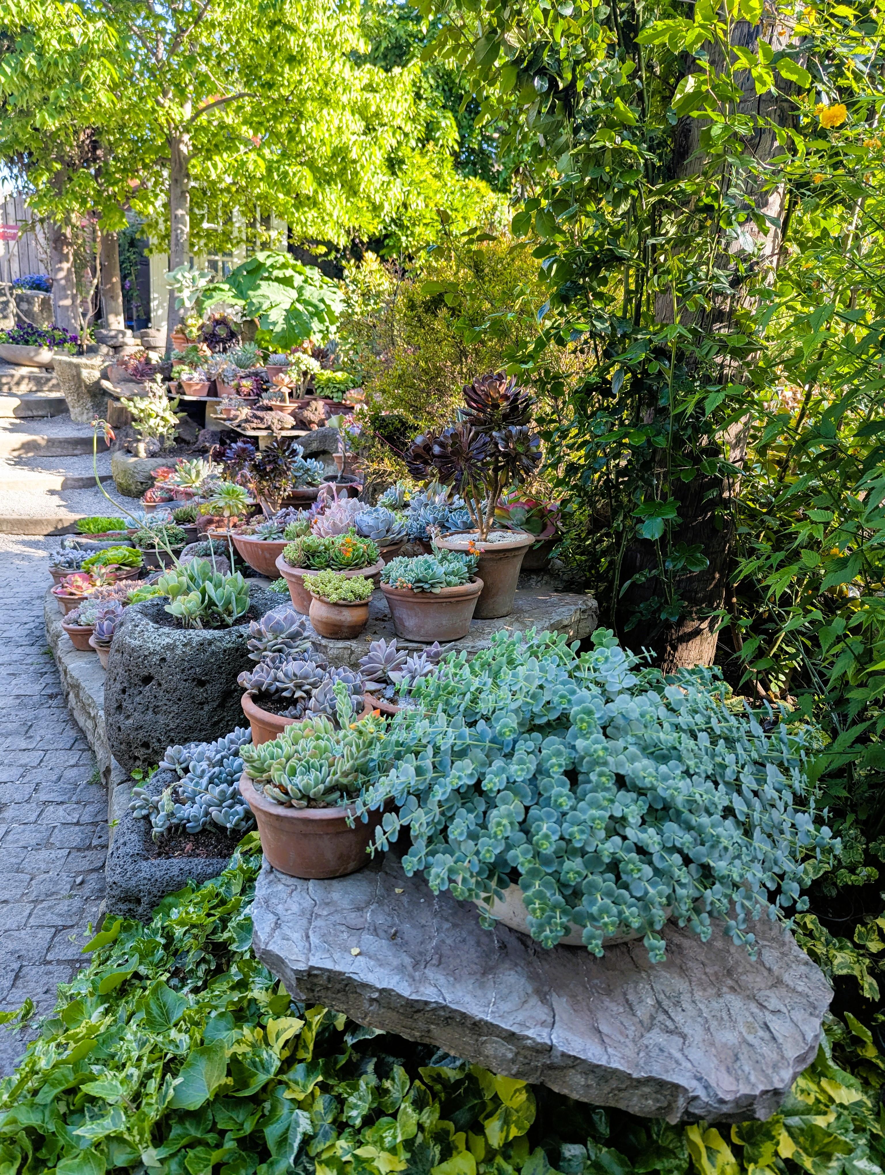Tbilisi: Hidden Garden Photoshoot with Optional Lunch 3