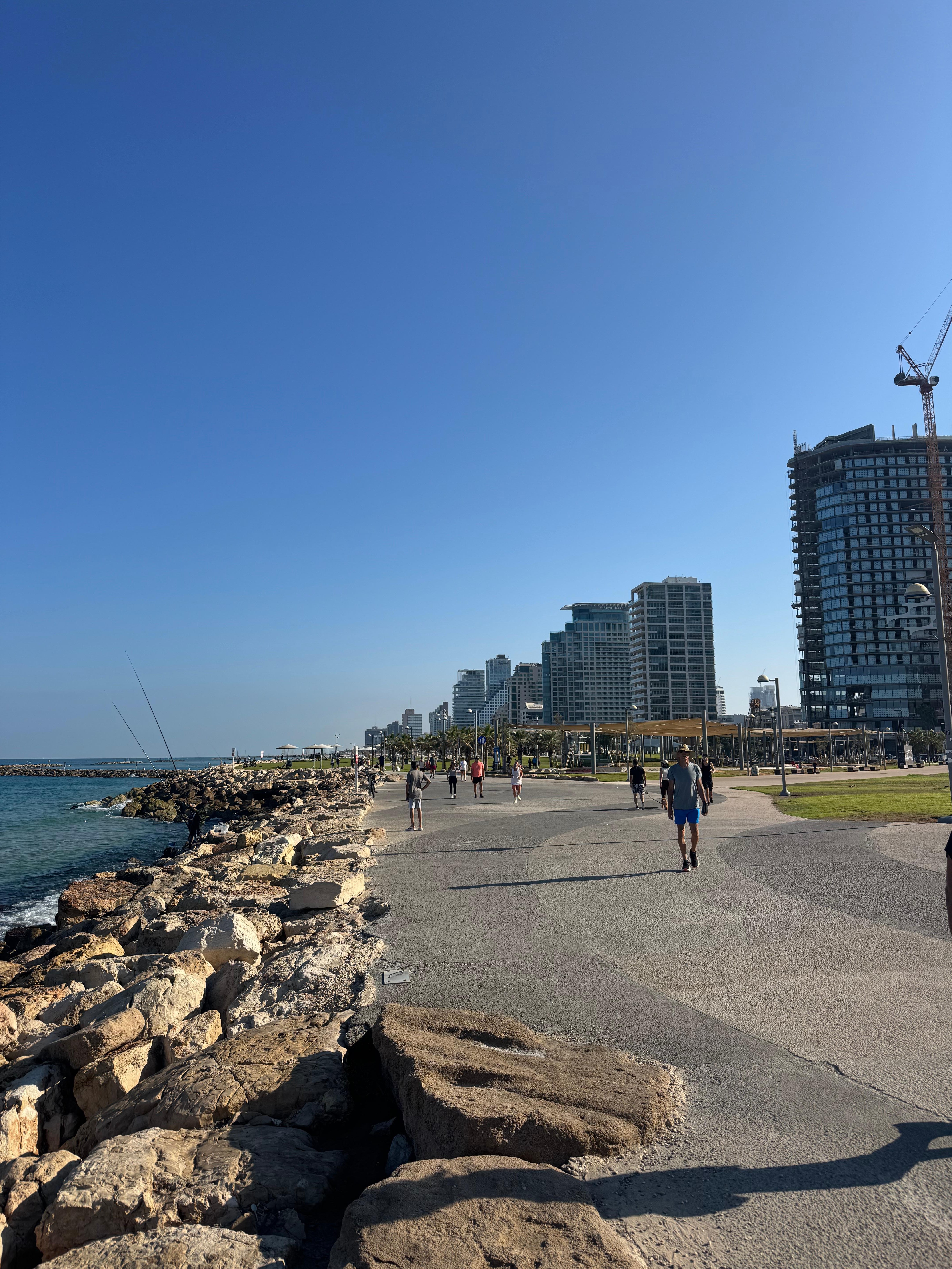 Tel Aviv: Old Jaffa and Tel Aviv Walking and Car Tour