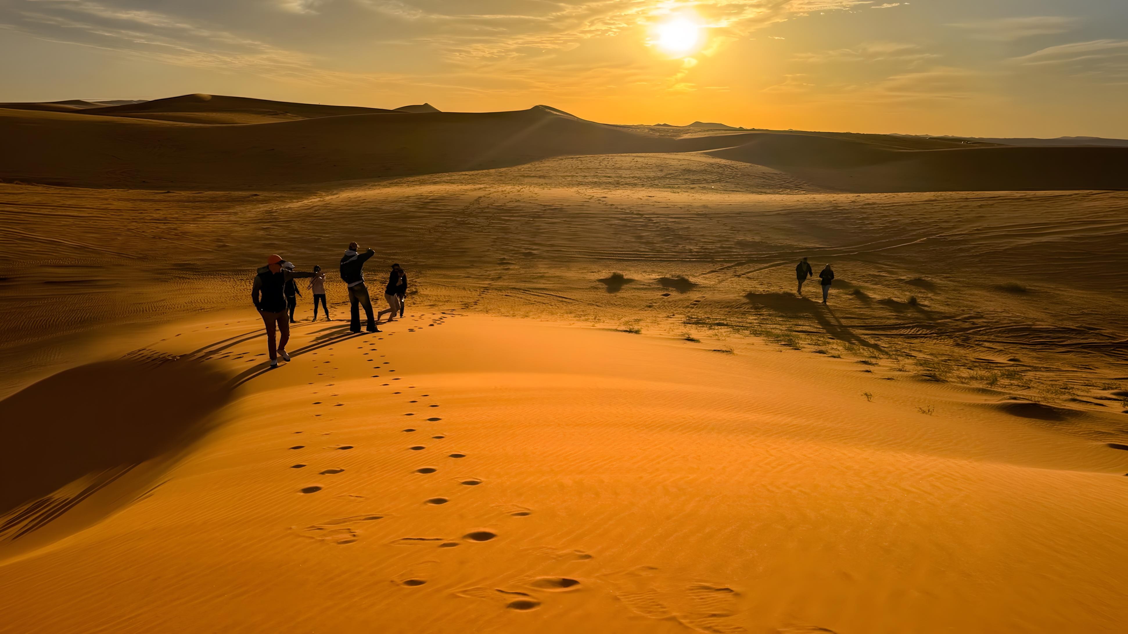 Desert Falconry, Camel Ride & Traditional Camp Dinner 2
