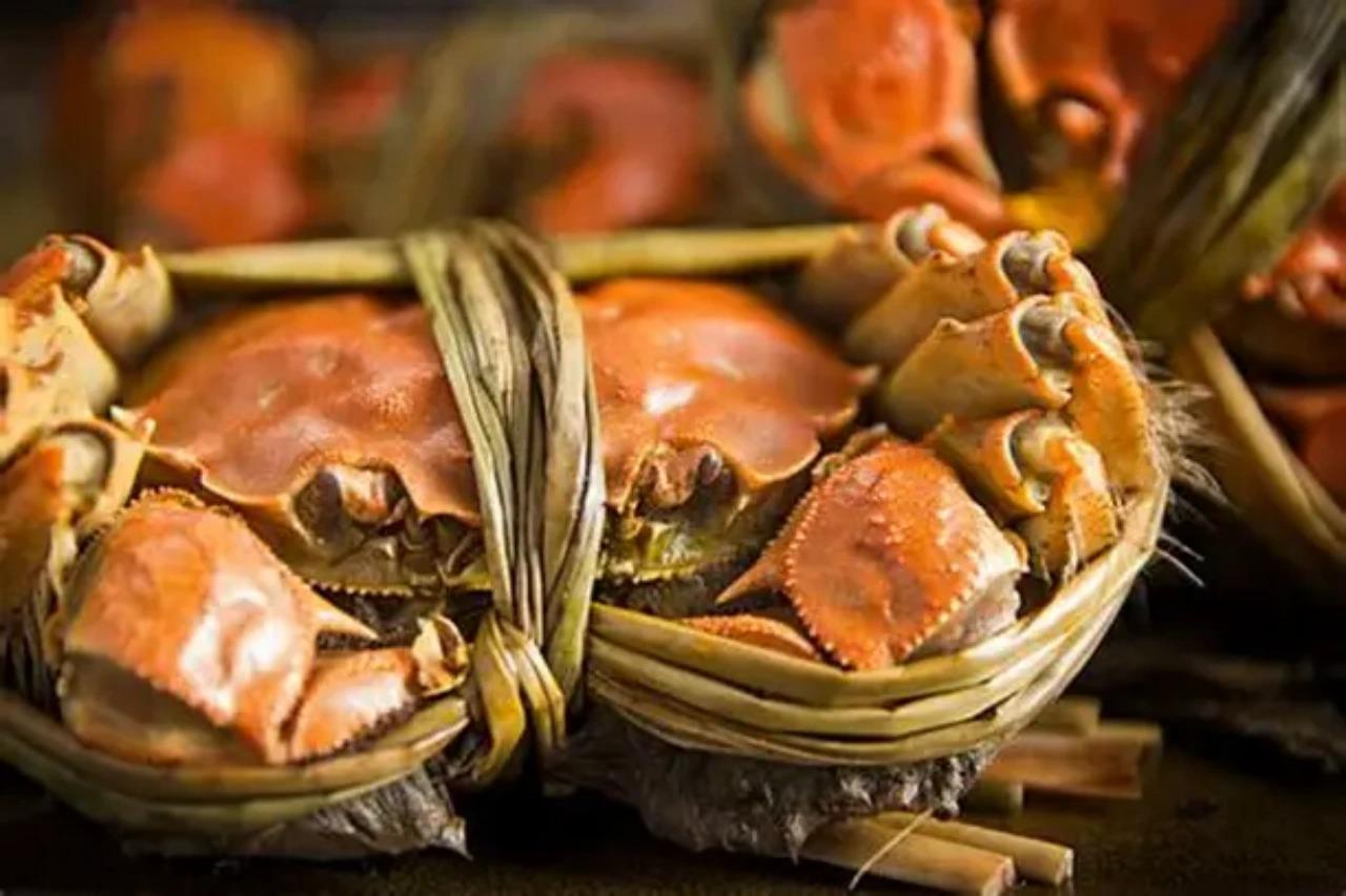 Catch Your Own Crab on Yangcheng · Private Day from Shanghai 2