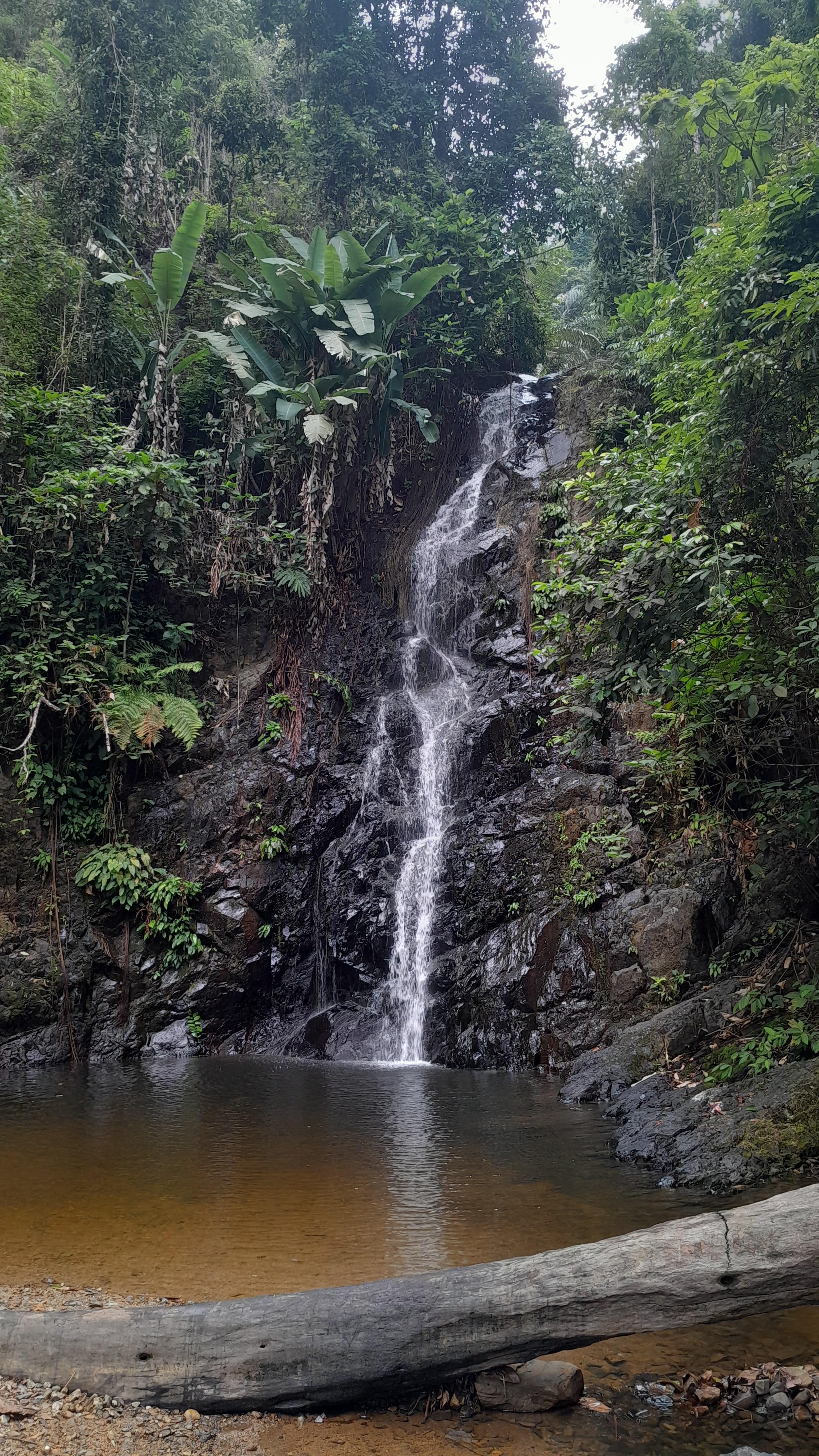 Langkawi Countryside Bike Tour, Waterfall Swim & Treats 2