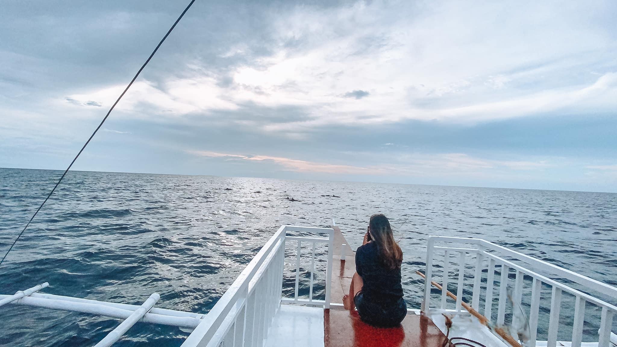 Bohol Balicasag Is Private Tour and Dolphin Watching 2