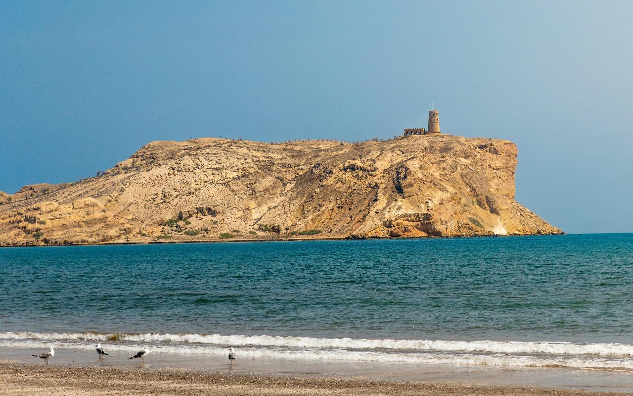 Muscat: Barka & Sawadi Coastal Tour with Beach Time 3