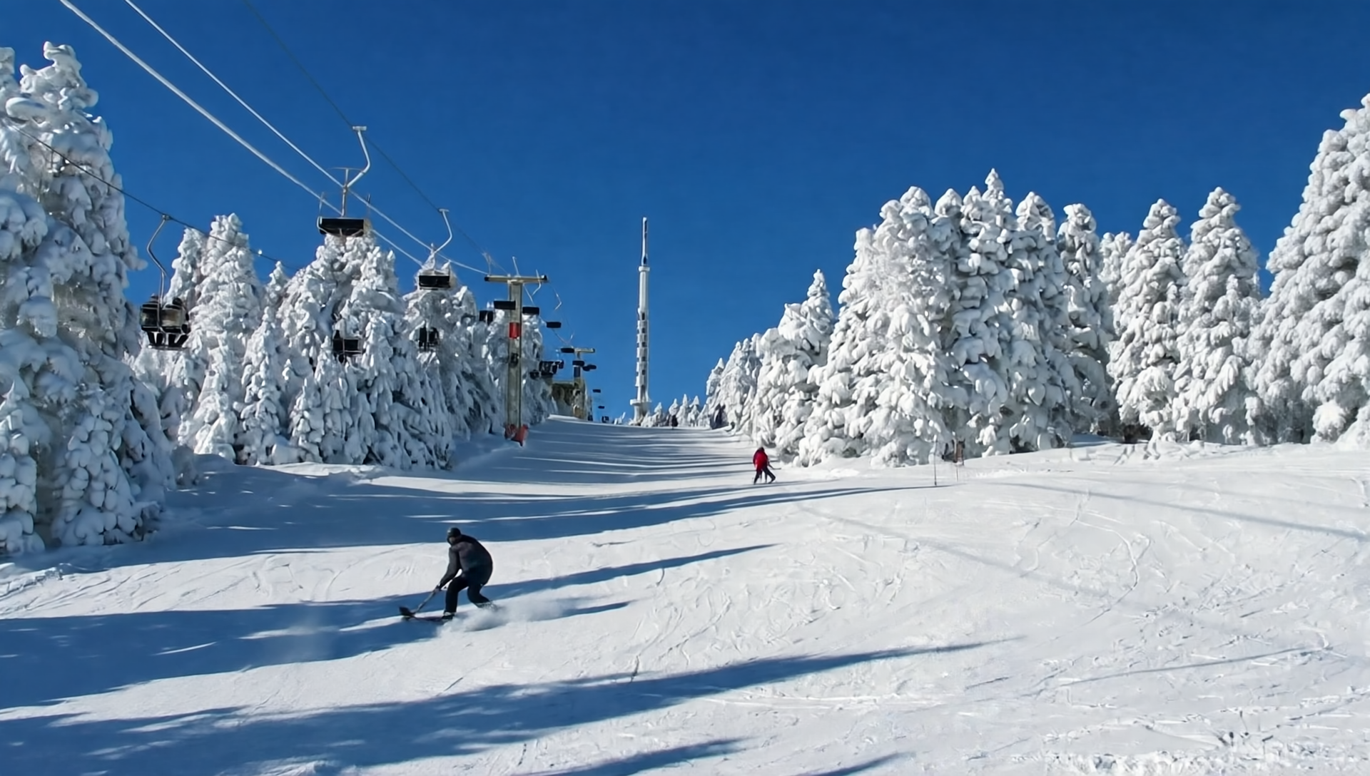 From Tbilisi: Magical Borjomi & Bakuriani with Toboggan Ride 2