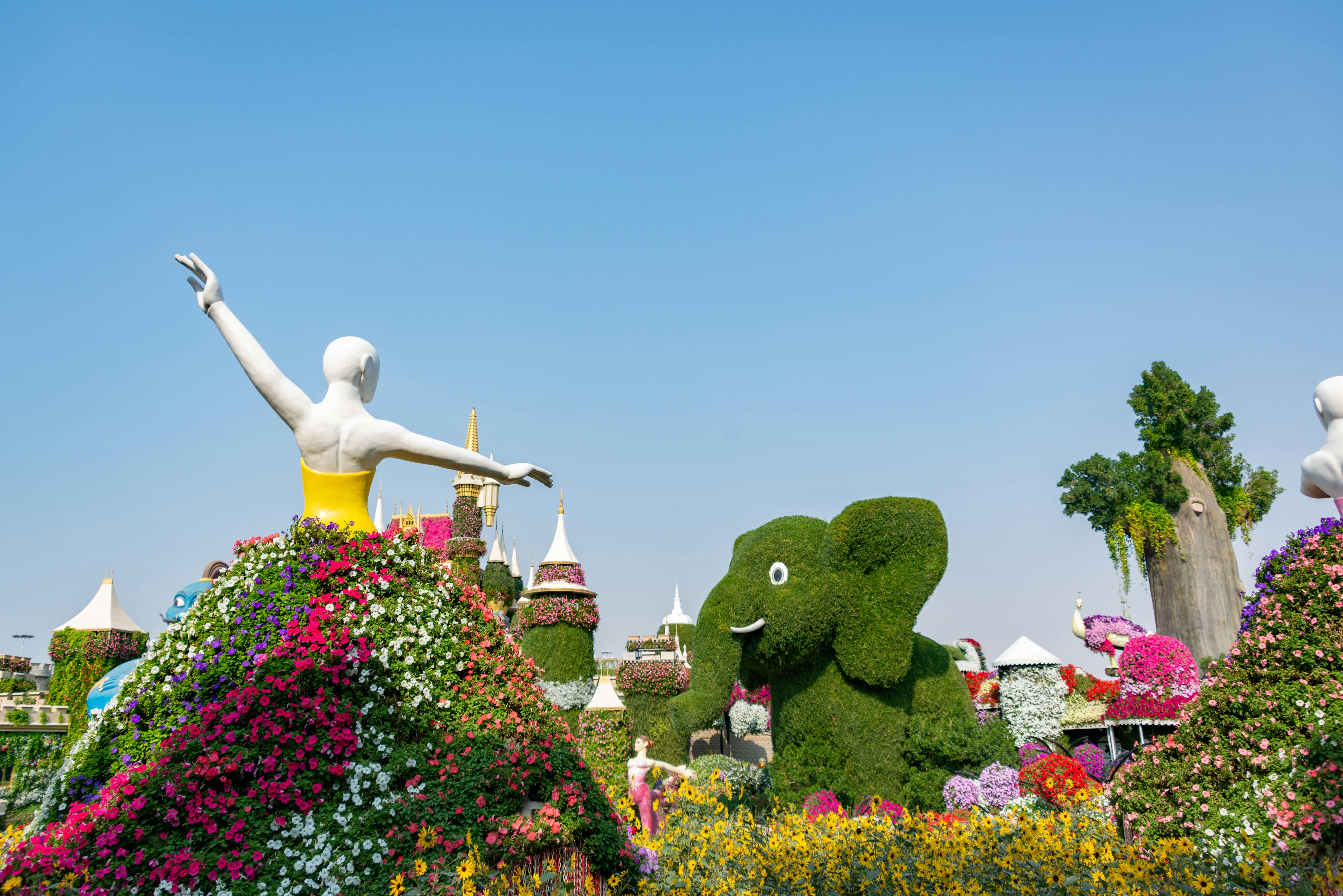 Dubai: Private Dubai Flora and Fauna Trip 2