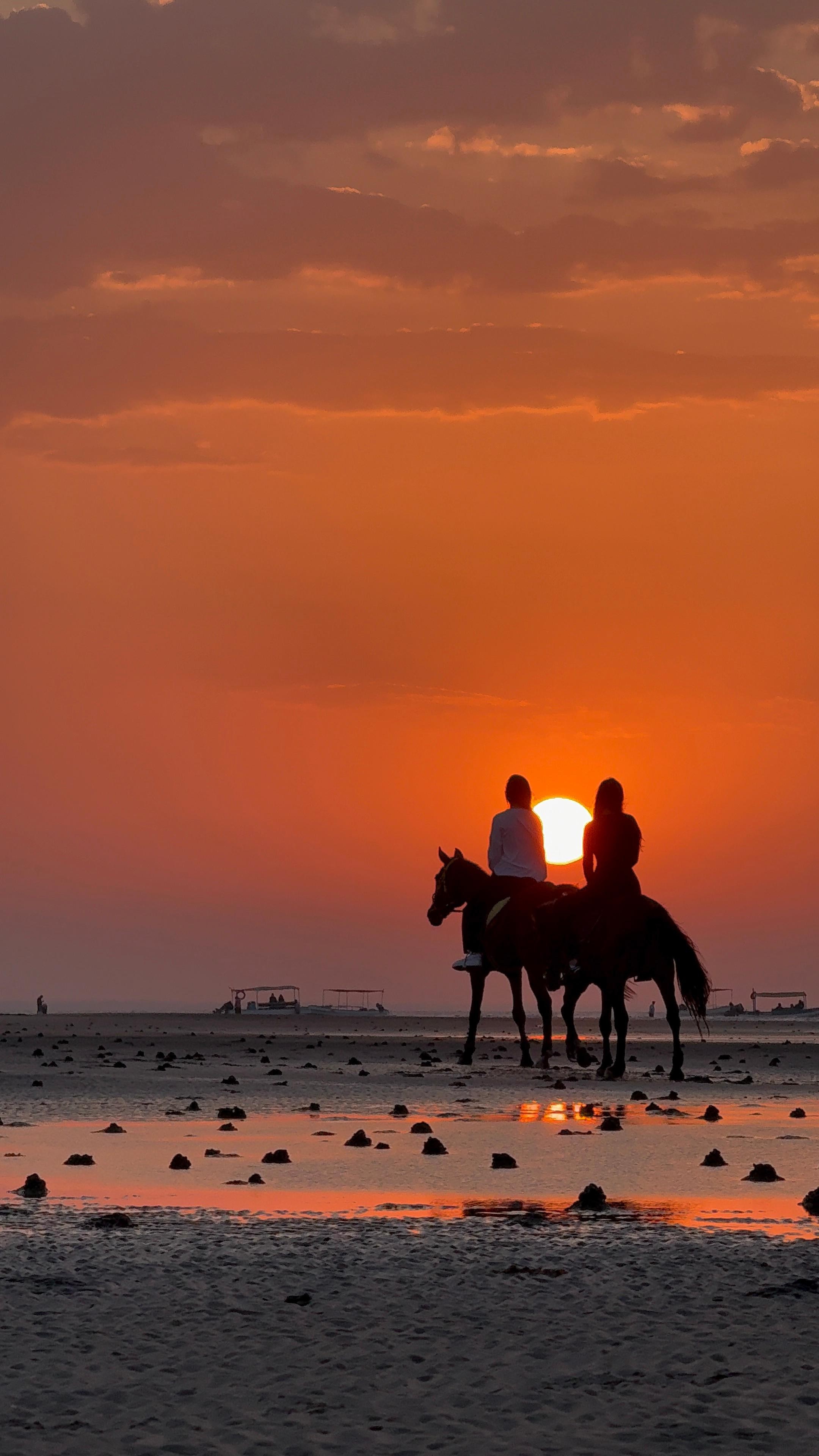 Muscat: Private Horse Riding on Al Sawadi Beach