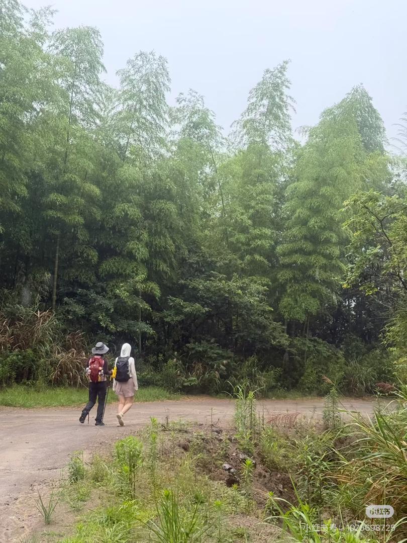 Shanghai: Fengmingshan Immortal Valley Private Day Trip