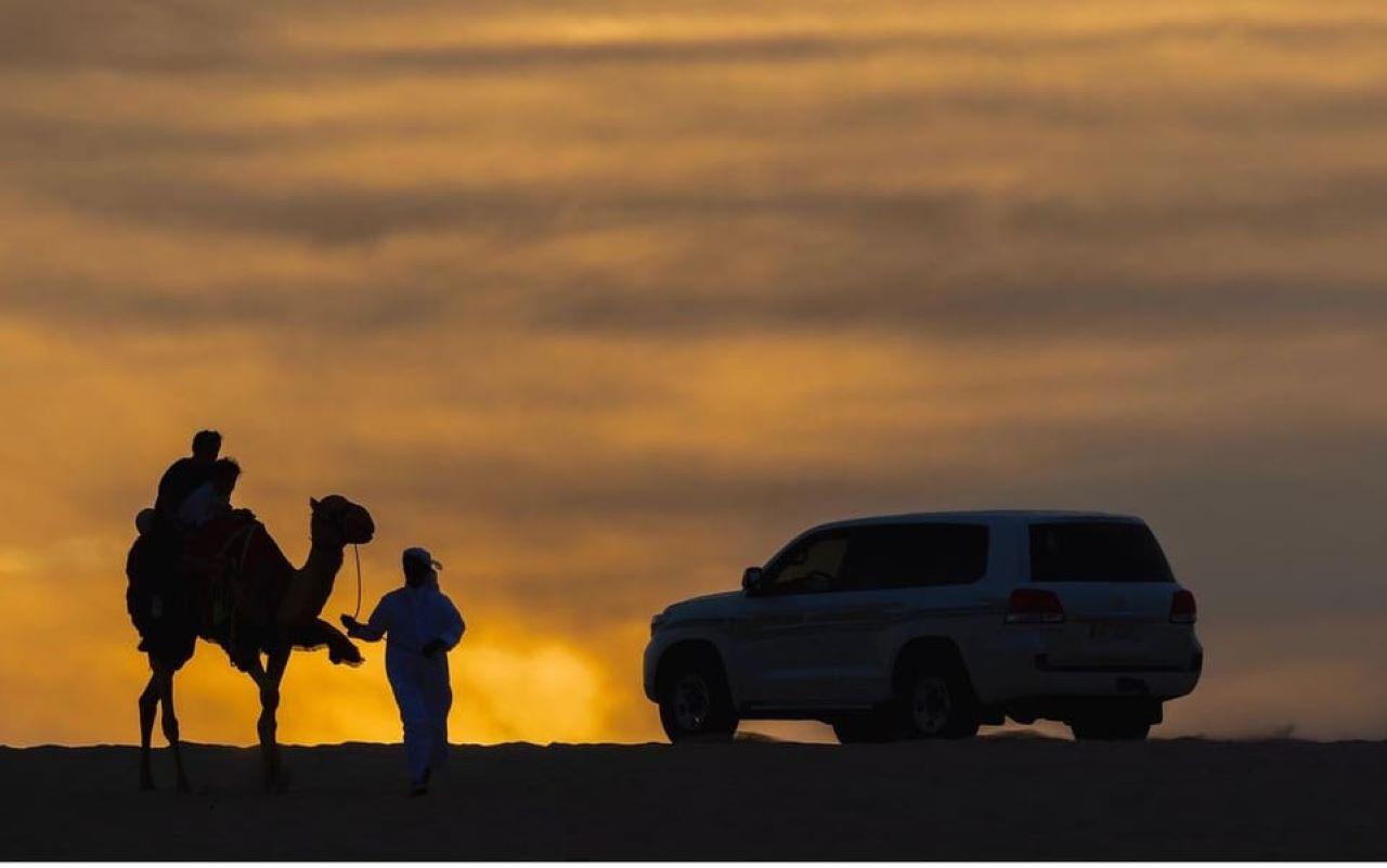 Doha: Desert Safari, Stargazing, Dune Bashing & Camel Ride