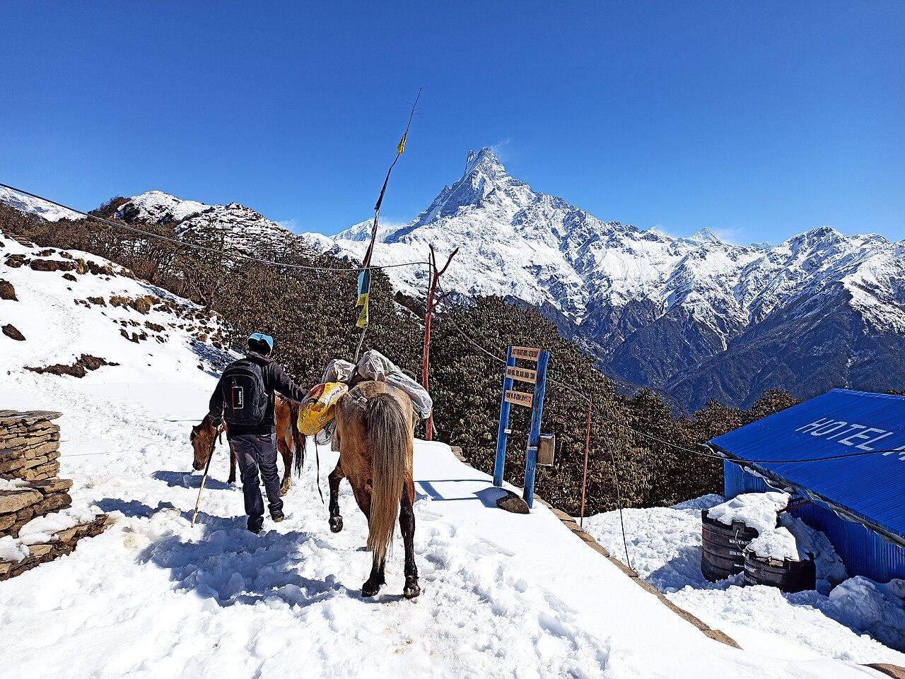 From Pokhara: 4-Day Mardi Base Camp Himalayan Sunrise Trek 2