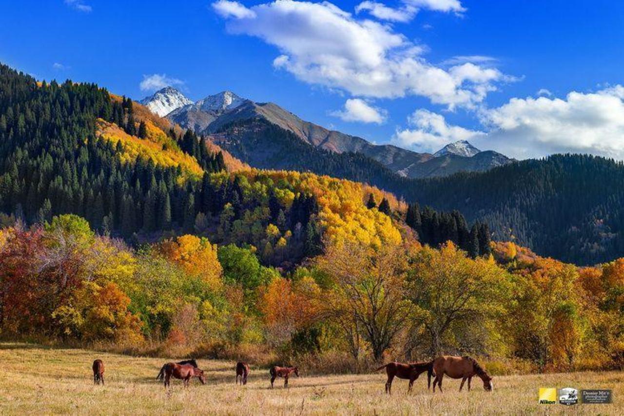 Golden Ring of Zhetysu: 5-Day Group Tour of 3 National Parks 2