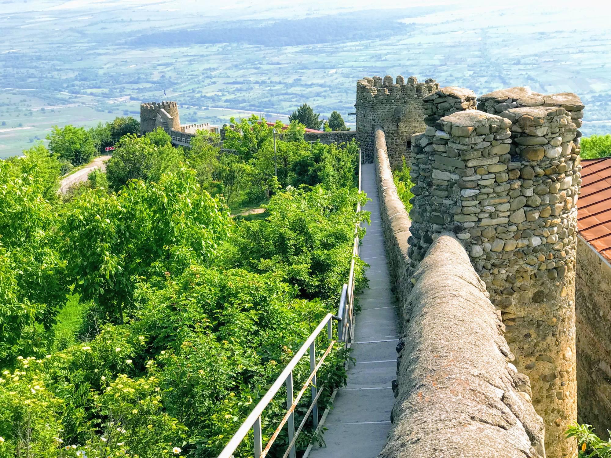 From Tbilisi: Kakheti Wine & Culture Day Tour with Guide 2
