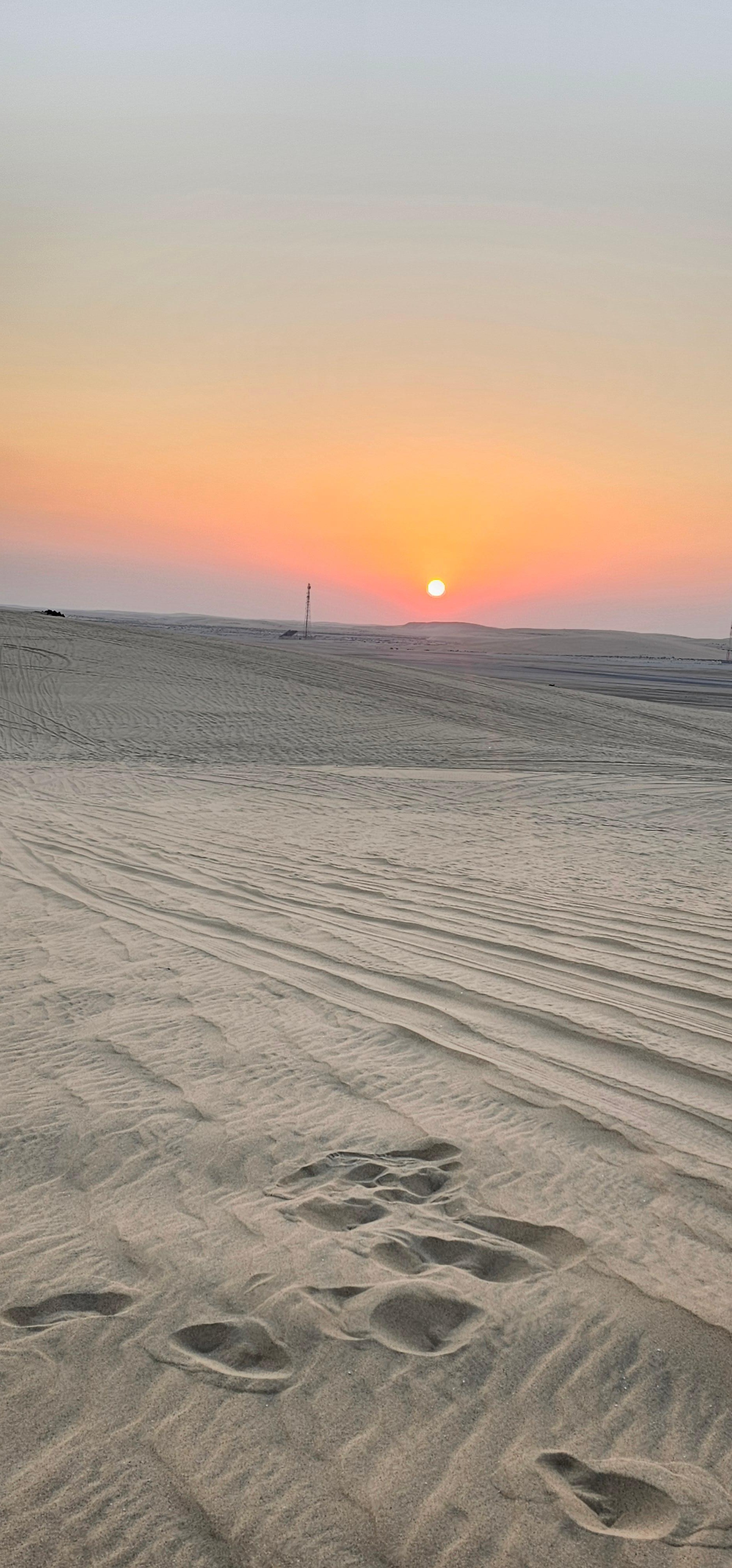 Doha: ATV Quad or Buggy, Dune Bashing, Camel Ride & Sandboarding 3