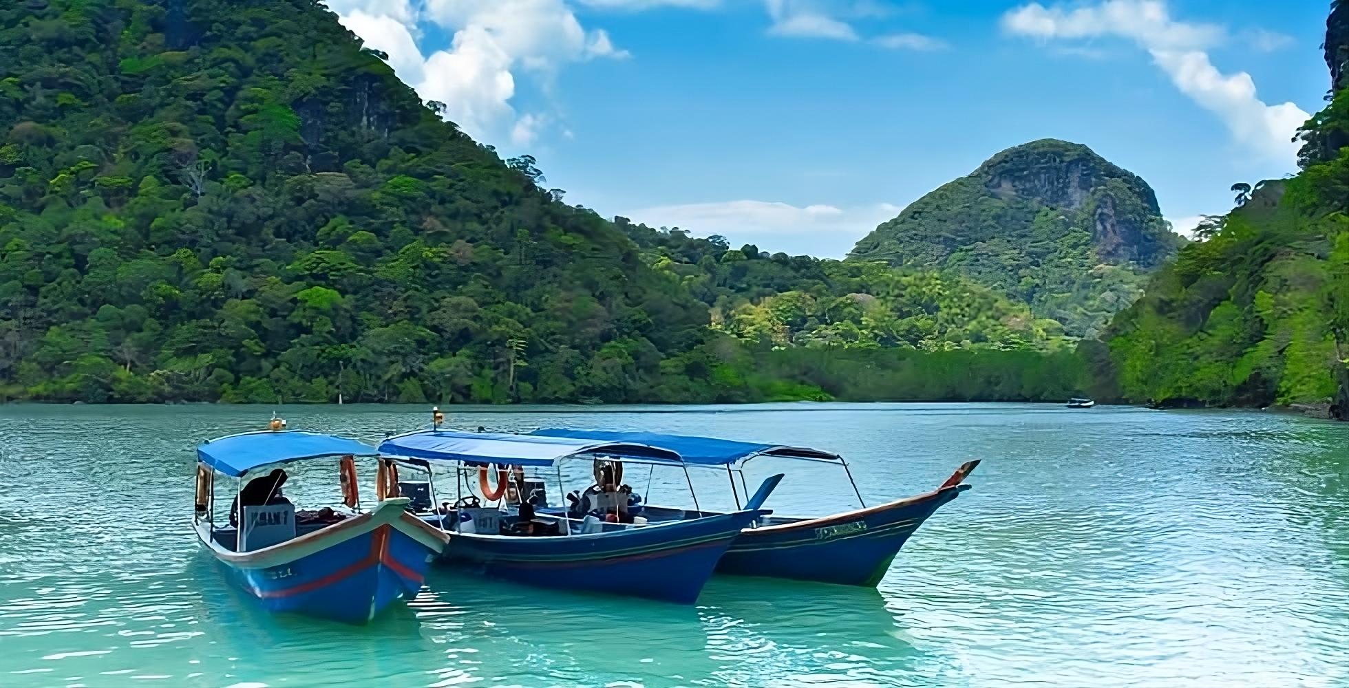 Langkawi: Mangrove Tour with Kilim Geoforest Park & Bat Cave
