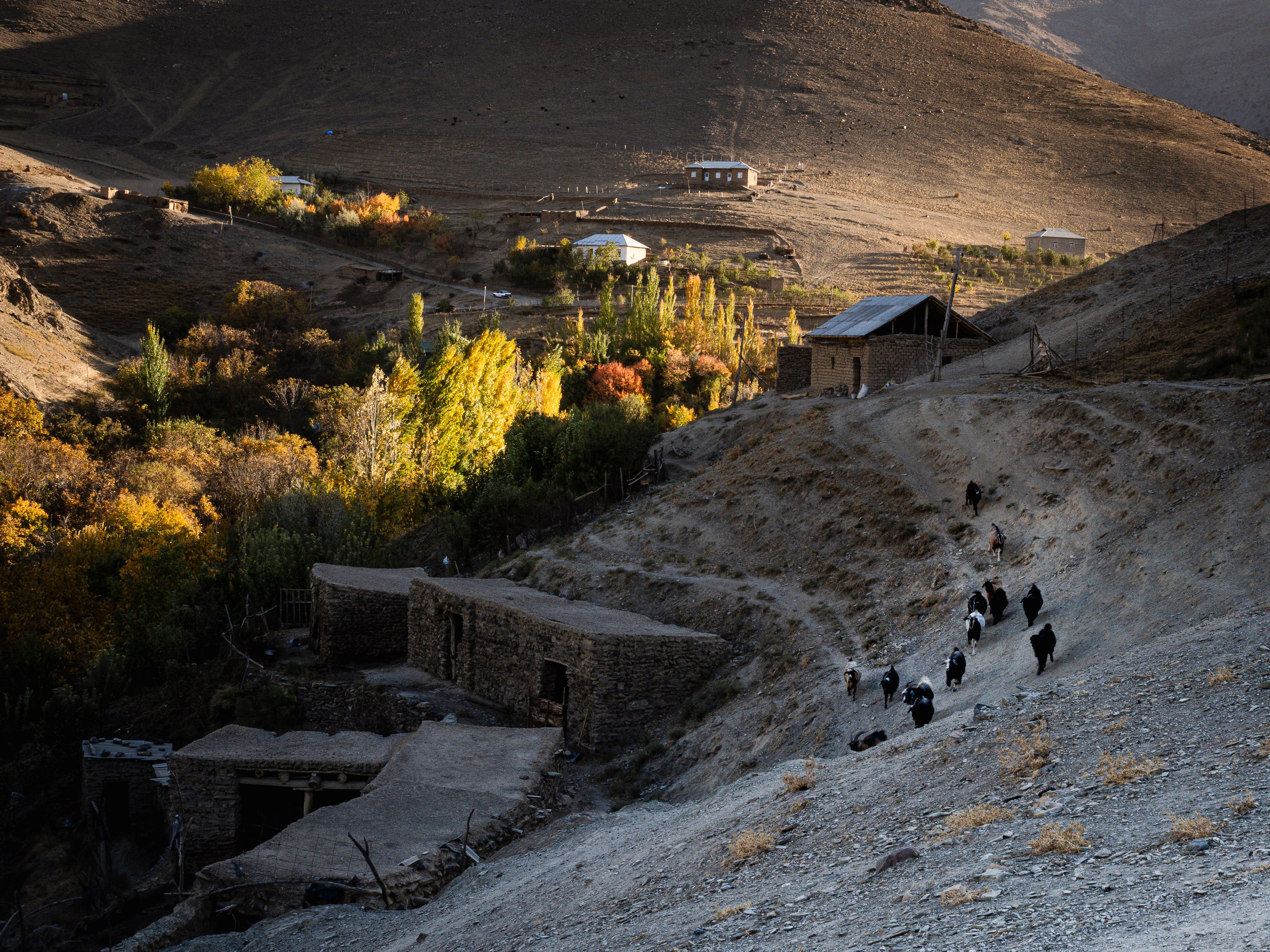 From Samarkand: Mountains and Shrines Day Trip with Lunch 2