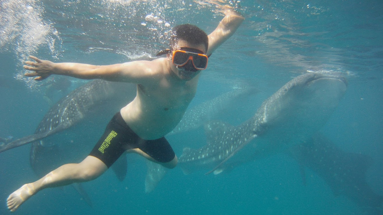 Dumaguete: Oslob Whale Watching Tour with the ruins sidetrip 2