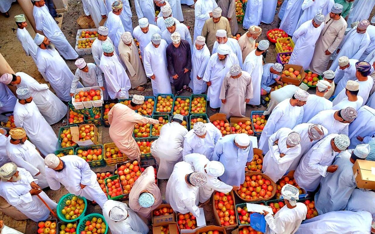 From Muscat: Shared Nizwa–Birkat Al Mouz–Green Mountain Tour 3