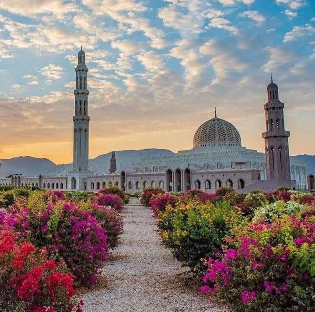 Full-Day Muscat Heritage Tour: Mosque, Souk, Palace & Opera 3