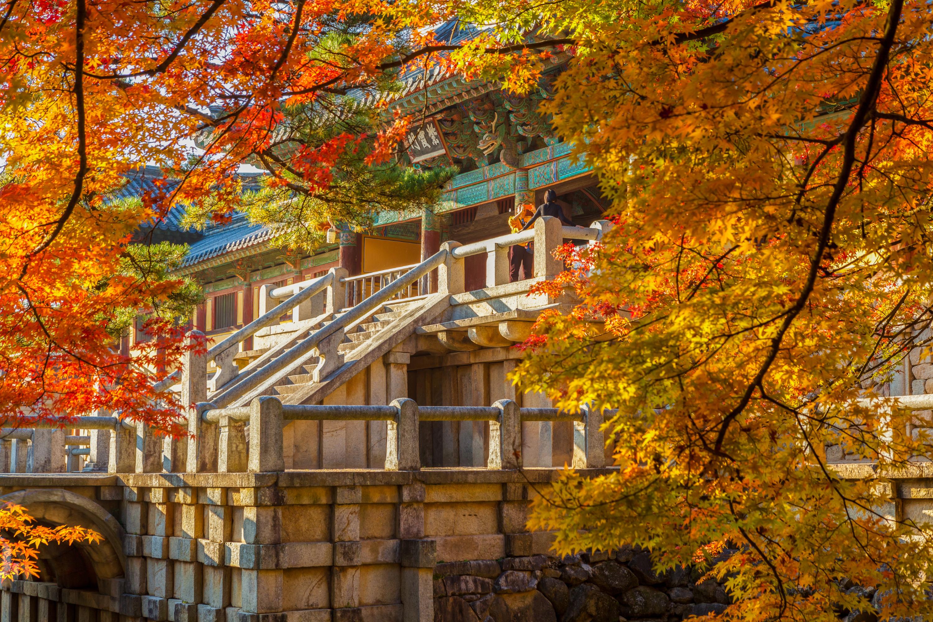 From Busan: Gyeongju Ancient Legacy Full Day Guided Tour 2