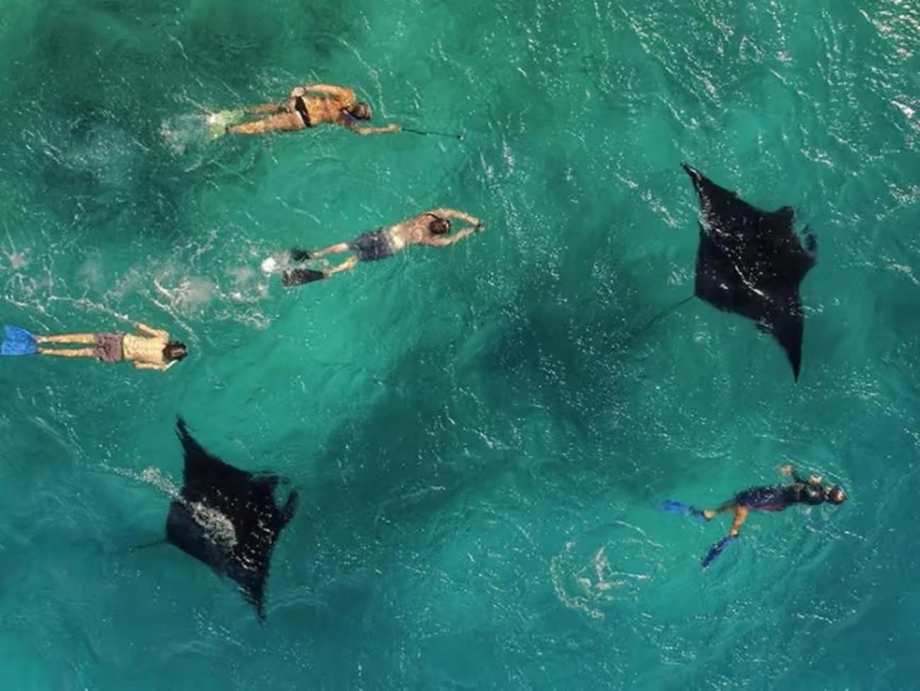 Omadhoo Island: 3-Day Snorkeling Stay with House Reef 3