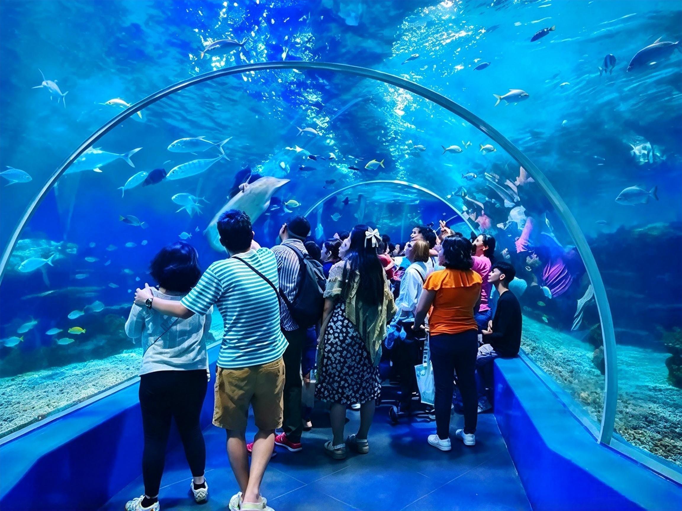 Manila Ocean Park: Tour with an Underwater Tunnel Walk